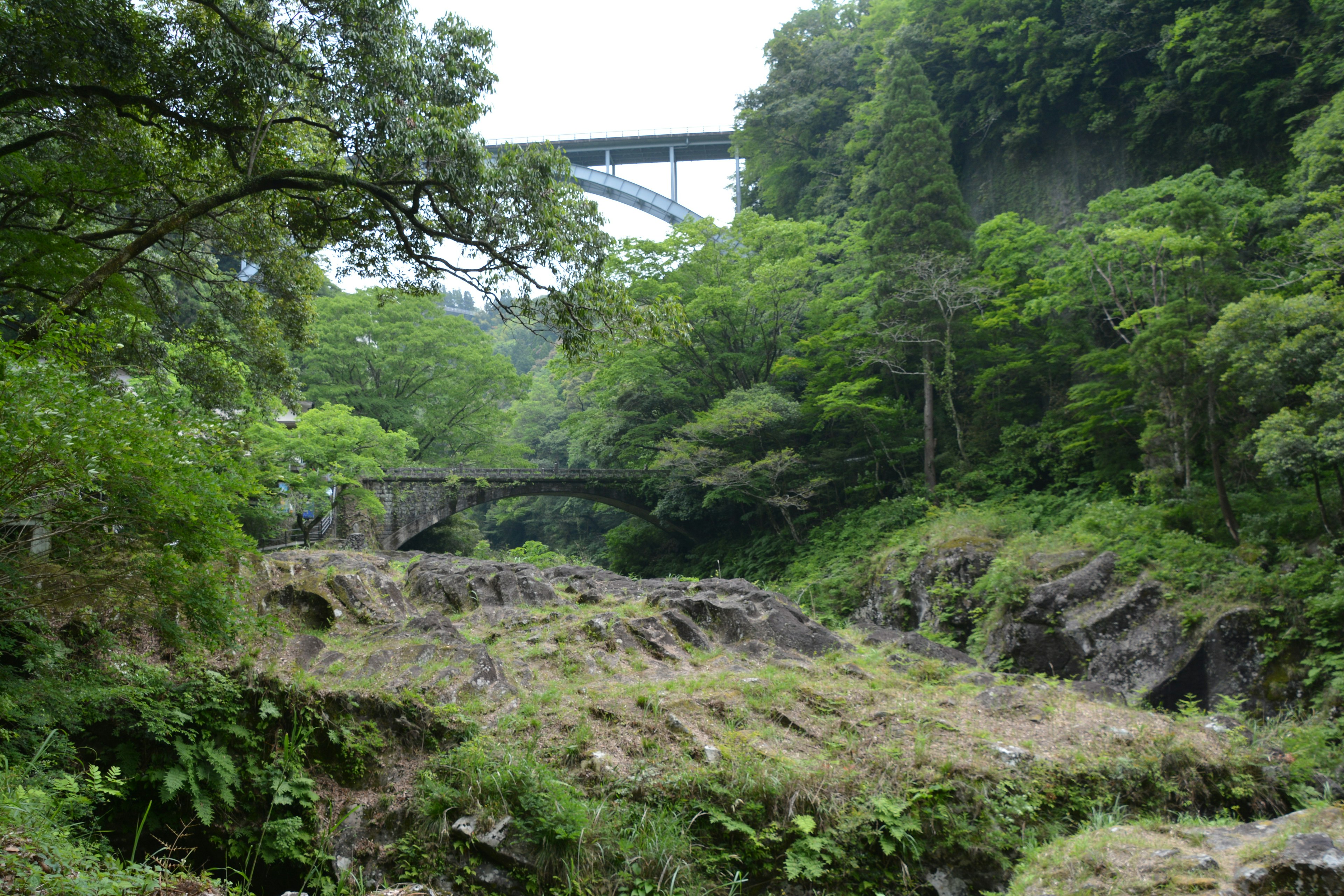 Scenic valley with lush greenery and a bridge in the background