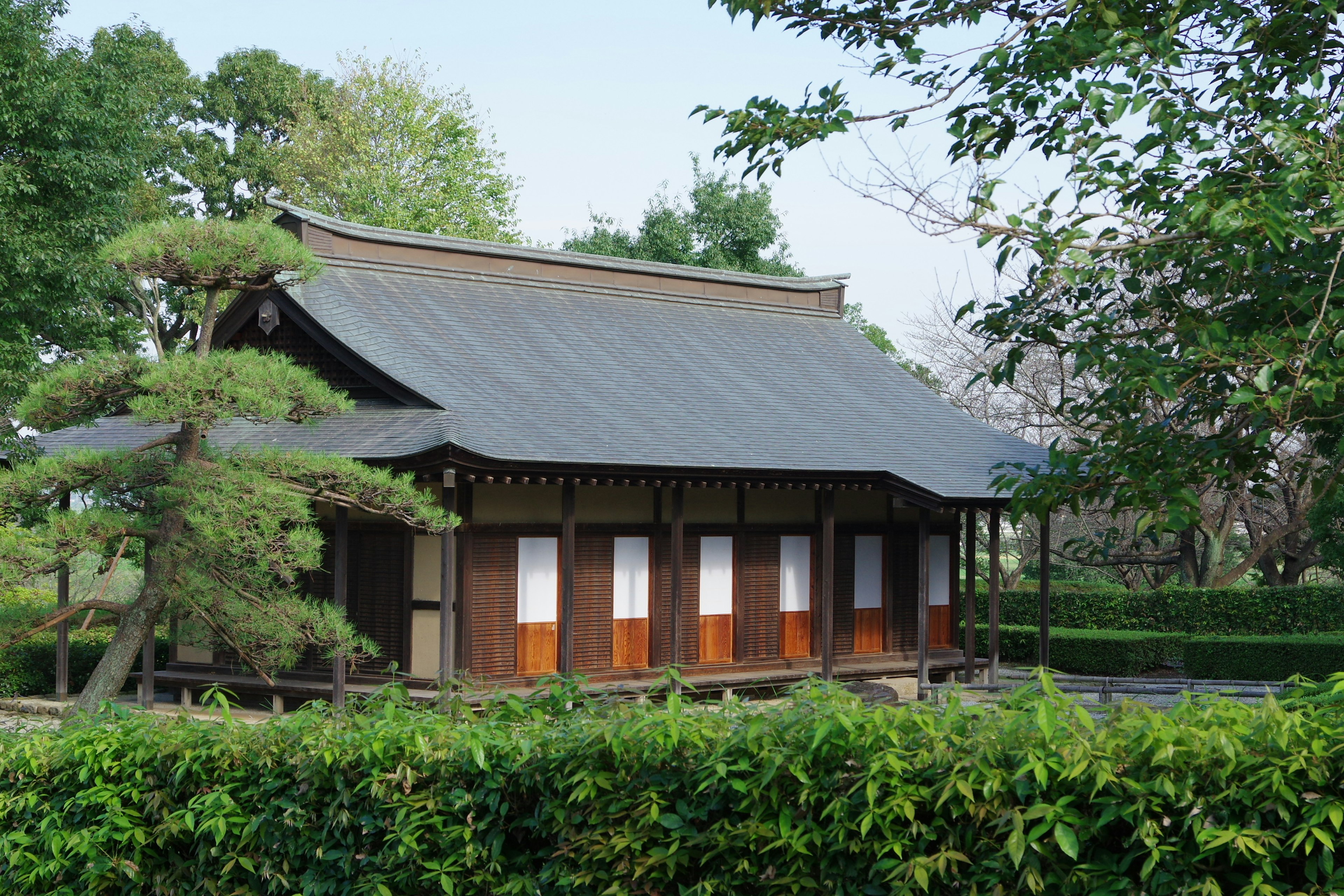 宁静花园中的传统日本房屋