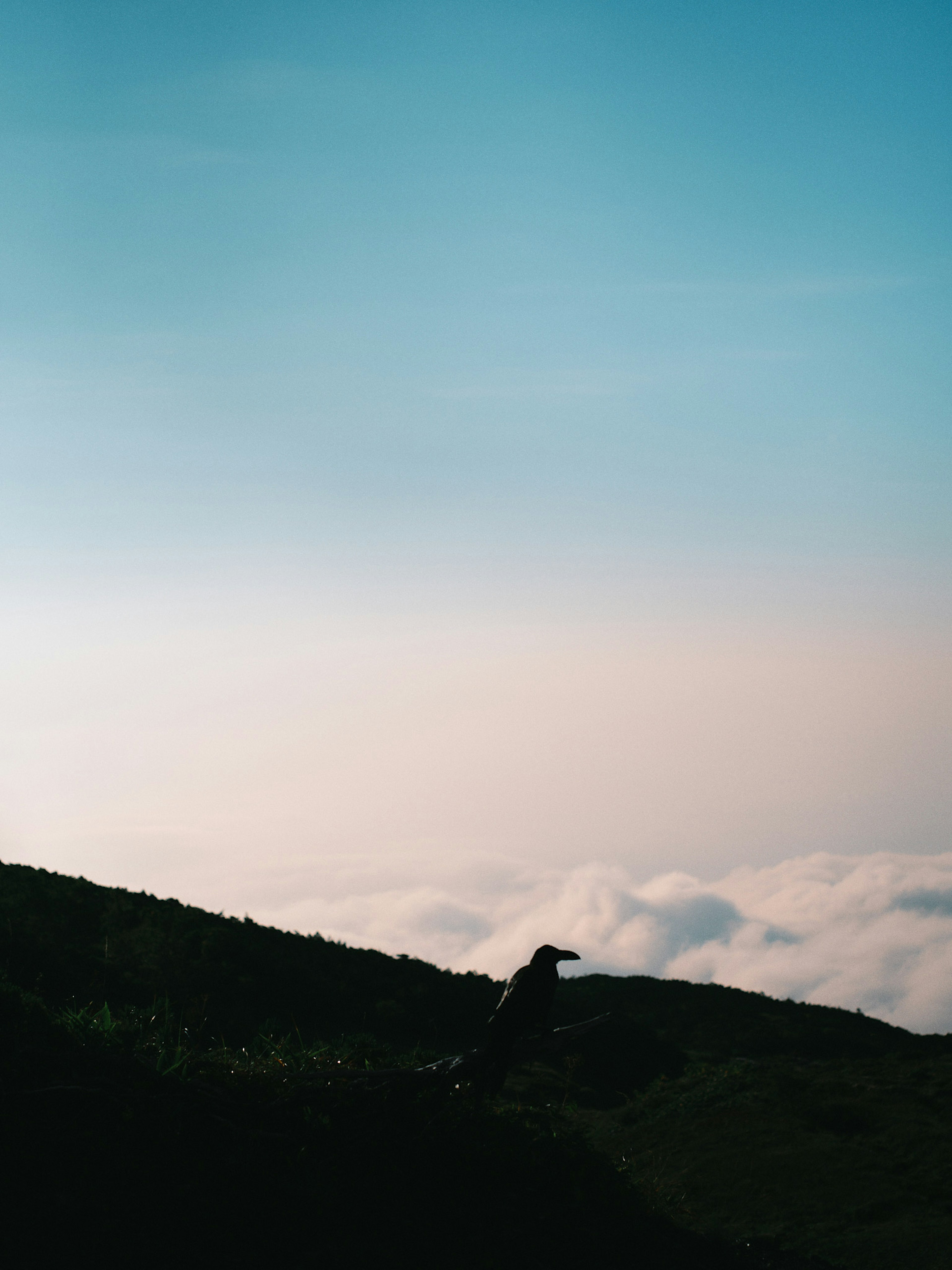 Silhouette of a person on a mountain ridge against a sea of clouds