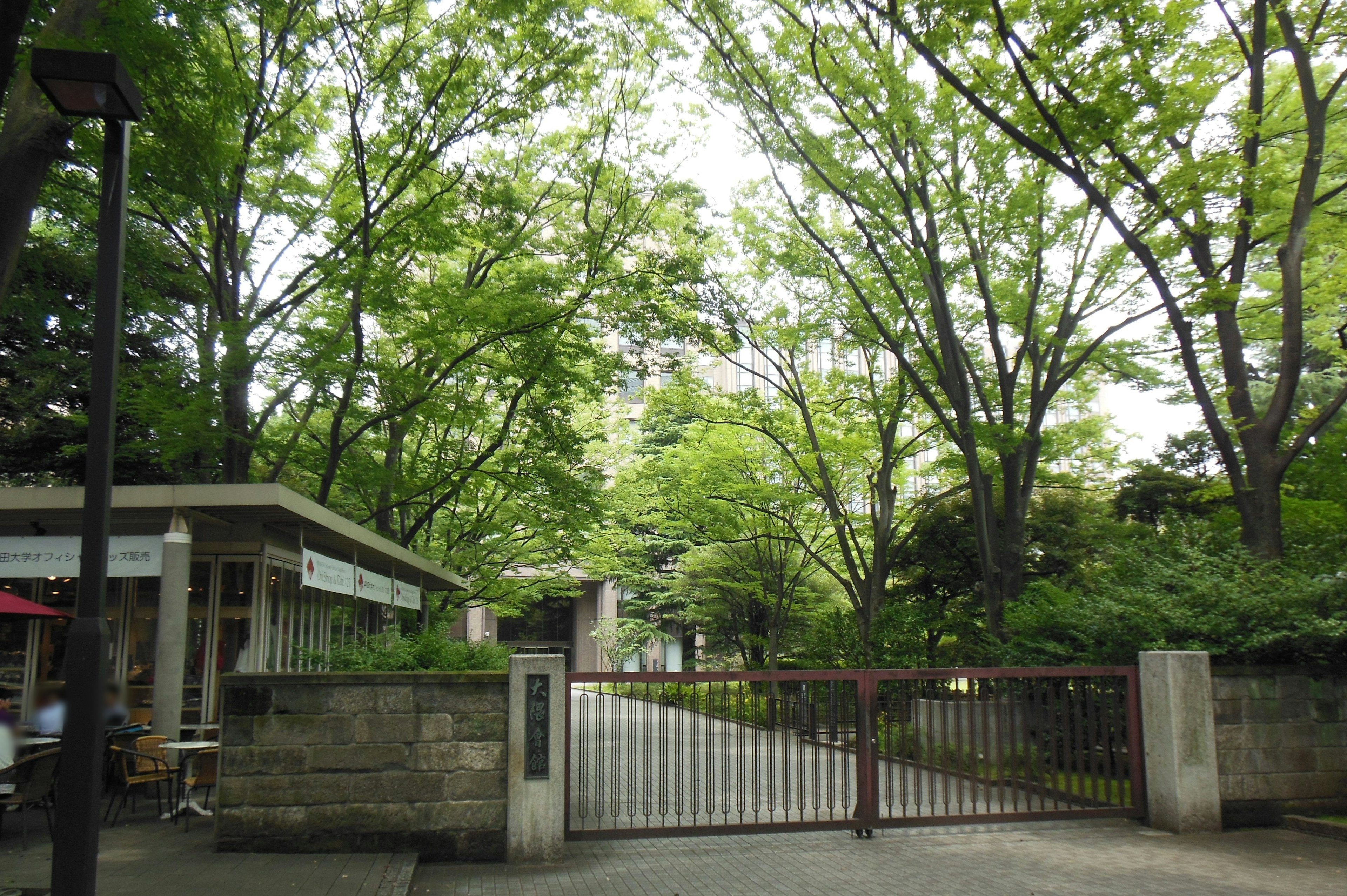 A view of a gate surrounded by lush green trees