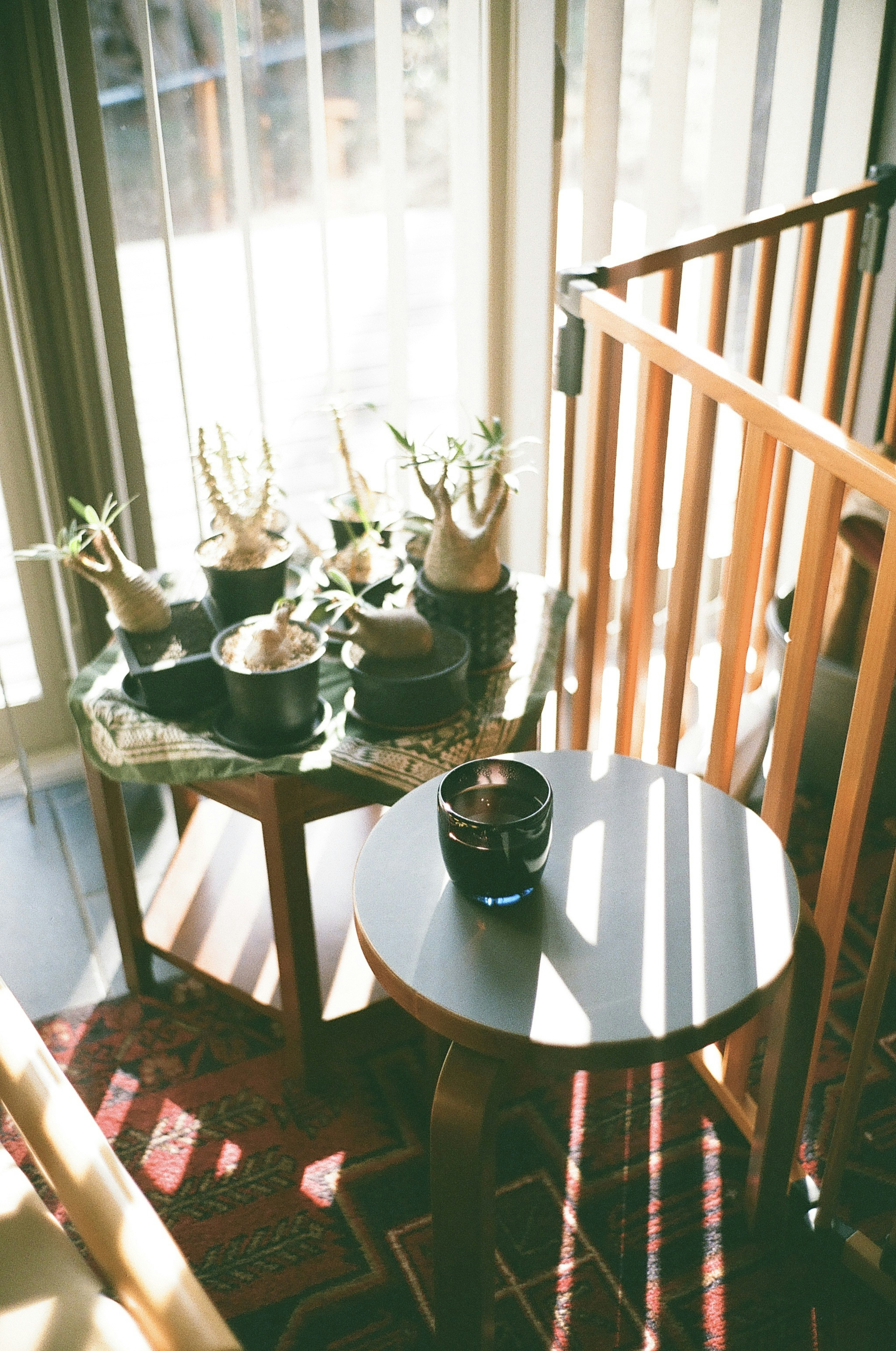 Bright windowsill with a small table and a collection of plants