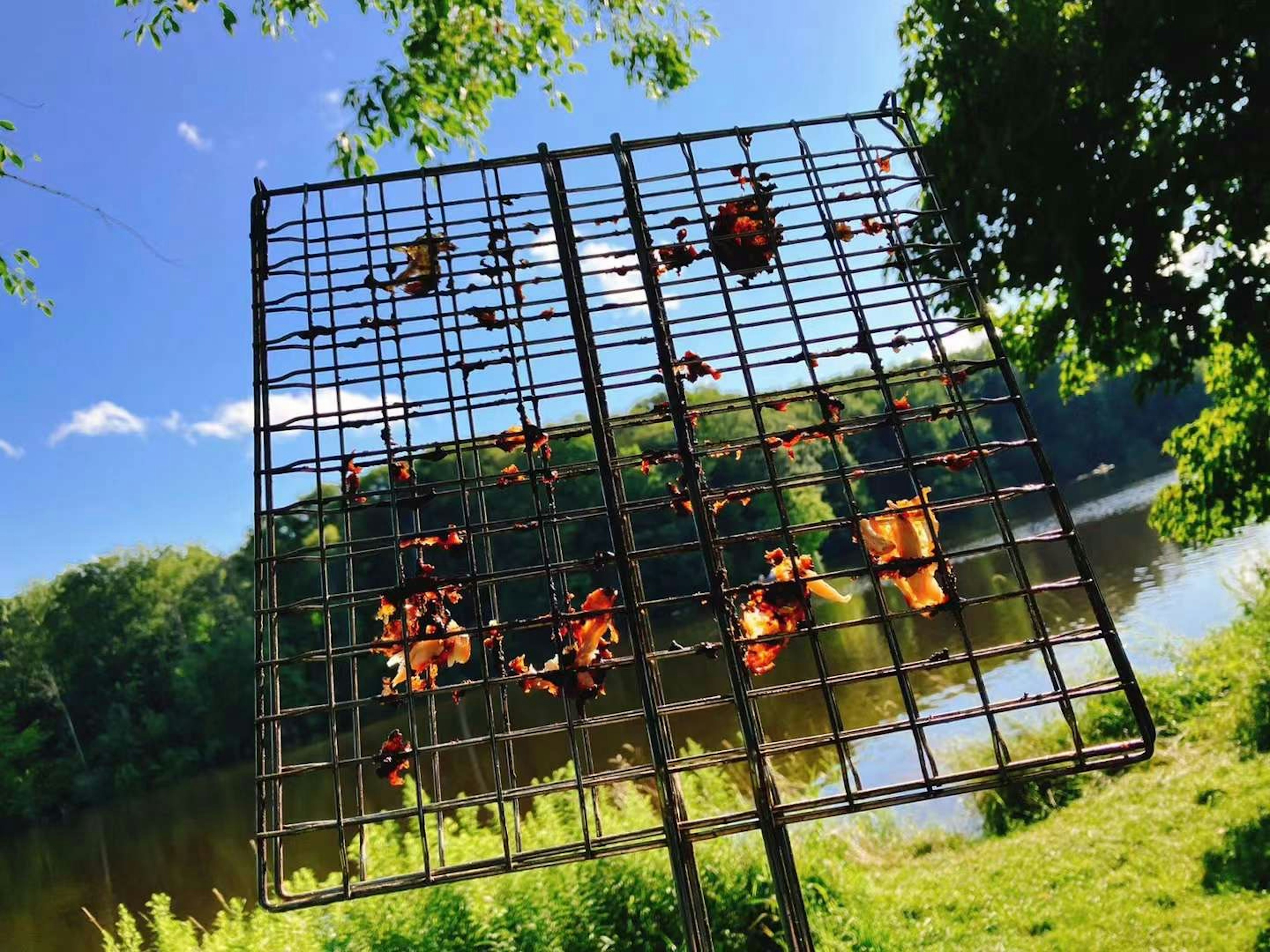 Rack en métal avec des feuilles sèches près d'une rivière