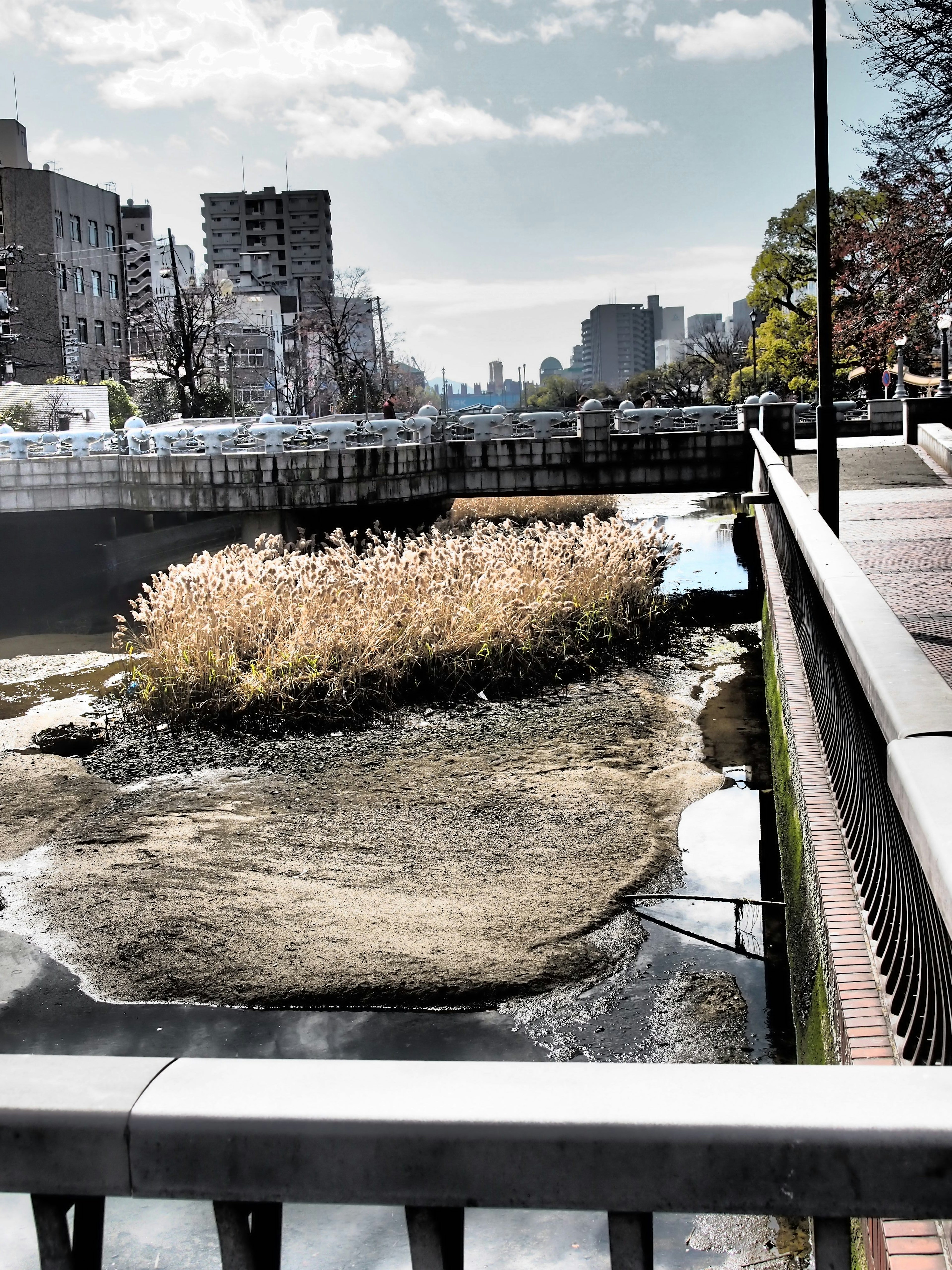 Paisaje urbano cerca de un río con una pequeña isla de hierba