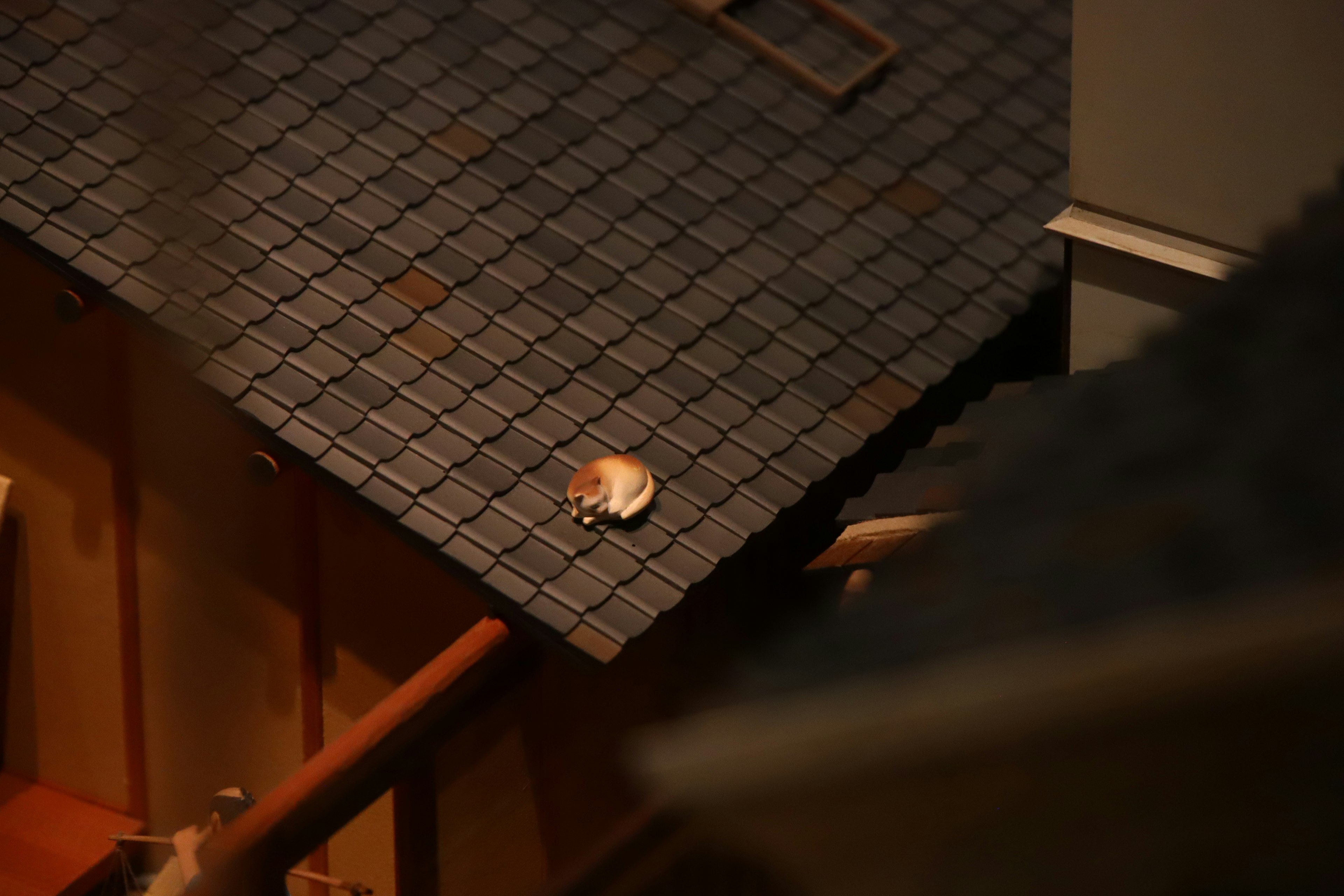 A small cat sitting on a rooftop