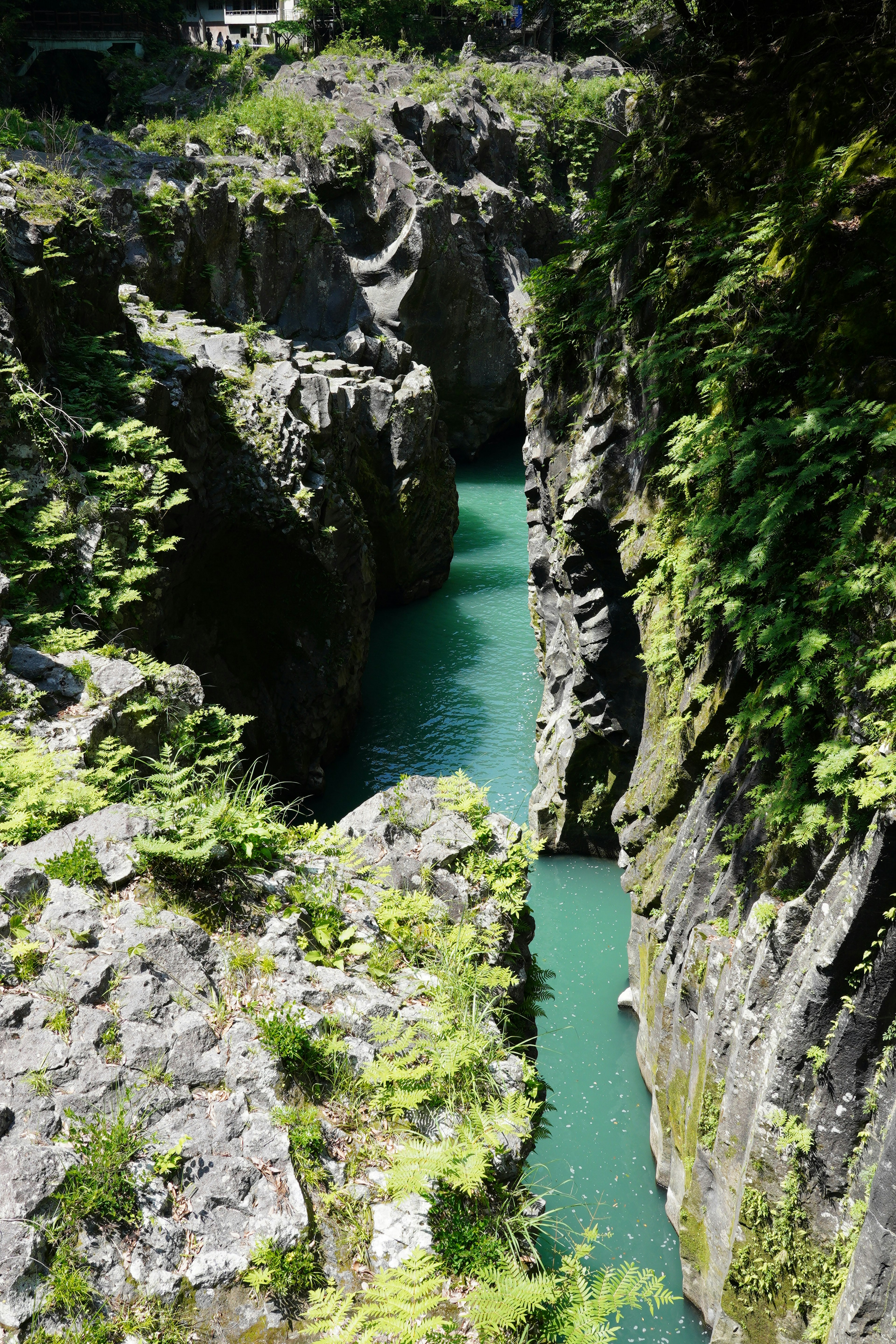 Vista panoramica di un stretto canyon con un fiume turchese circondato da una vegetazione lussureggiante