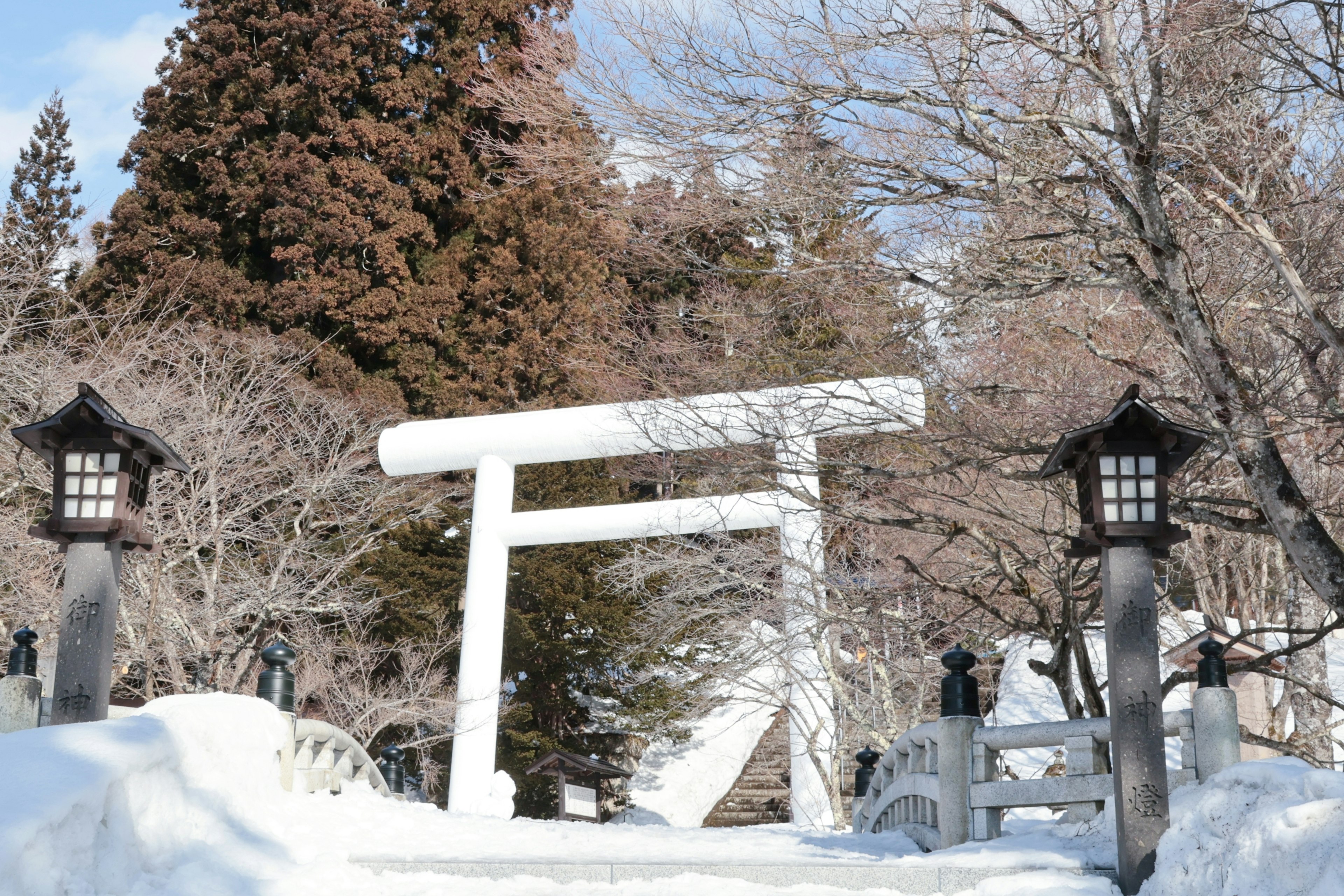 Snow-covered white torii gate with surrounding trees