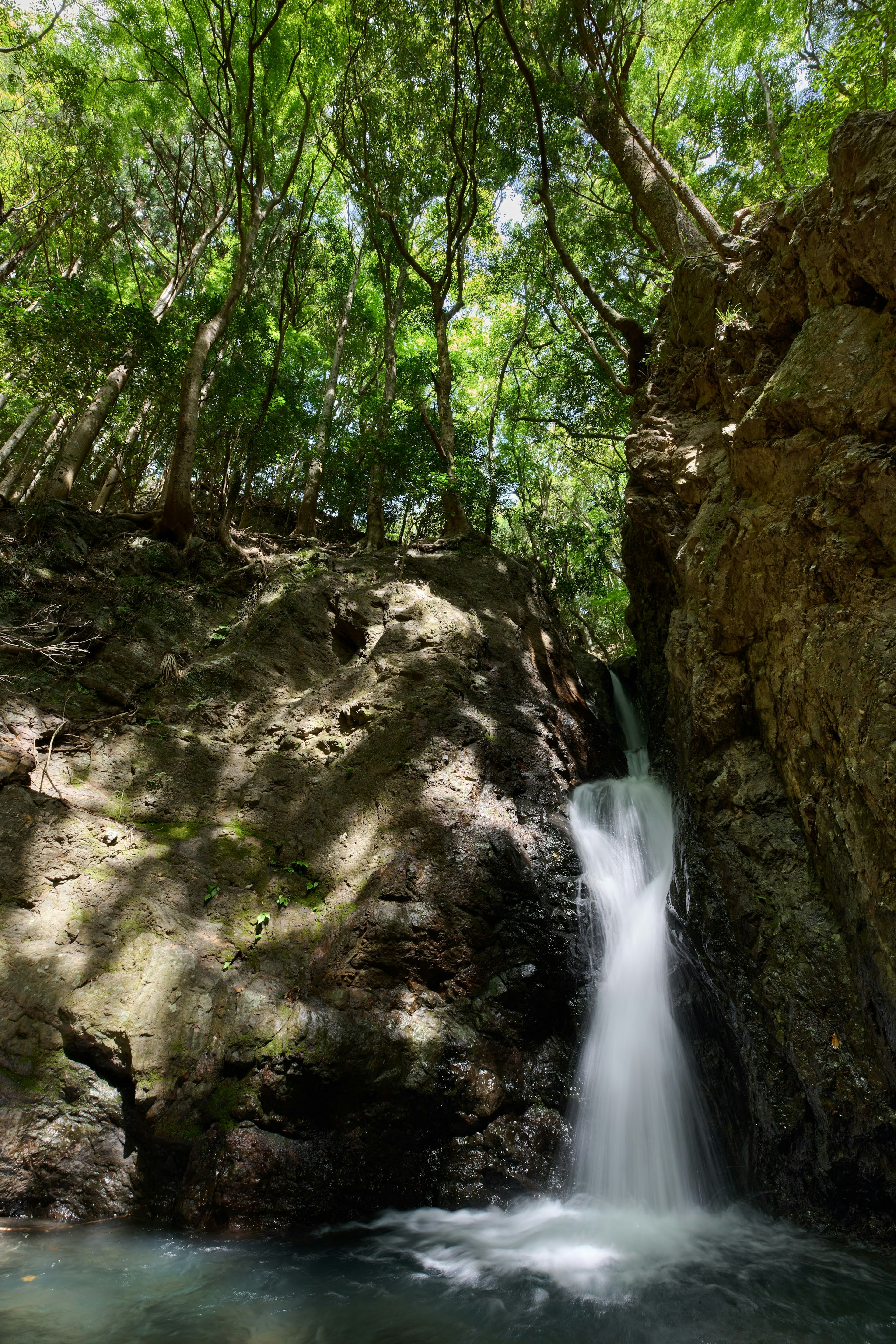 Una pequeña cascada que cae a través de un paisaje rocoso rodeado de exuberante vegetación