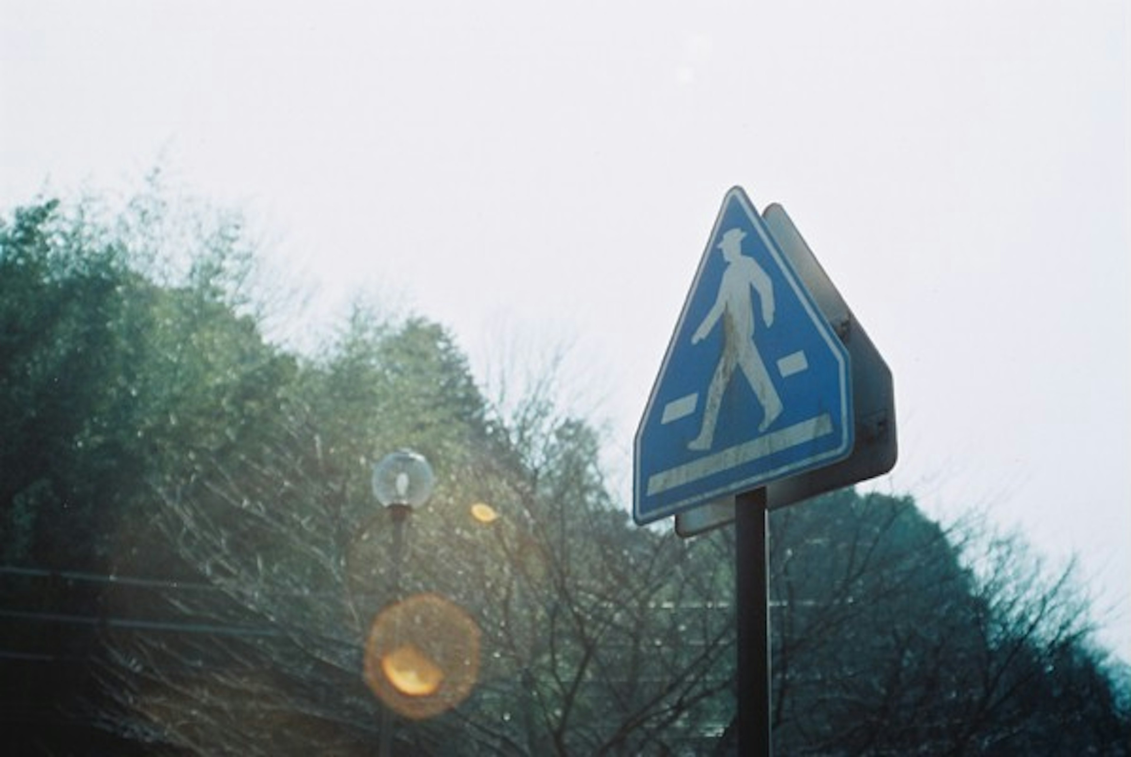 Blue pedestrian sign with surrounding trees