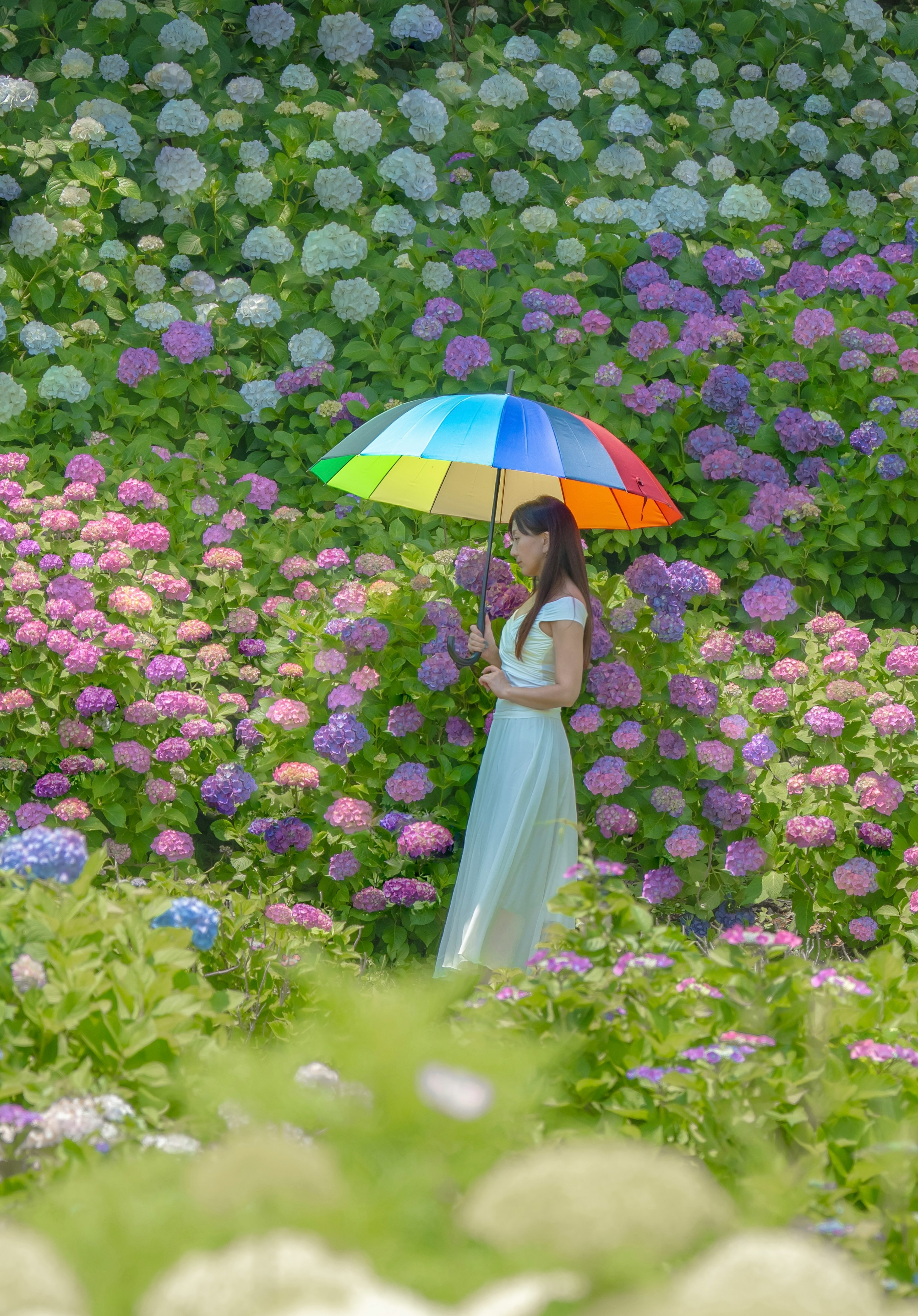 Une femme se tenant parmi des hortensias colorés avec un parapluie arc-en-ciel