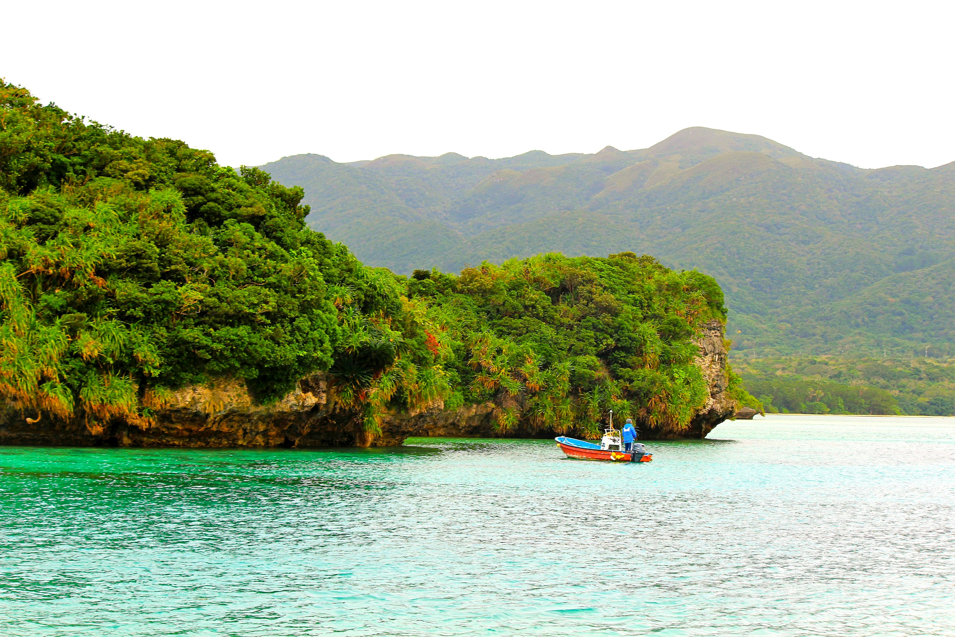 Vue panoramique des eaux turquoise avec une végétation luxuriante et un petit bateau