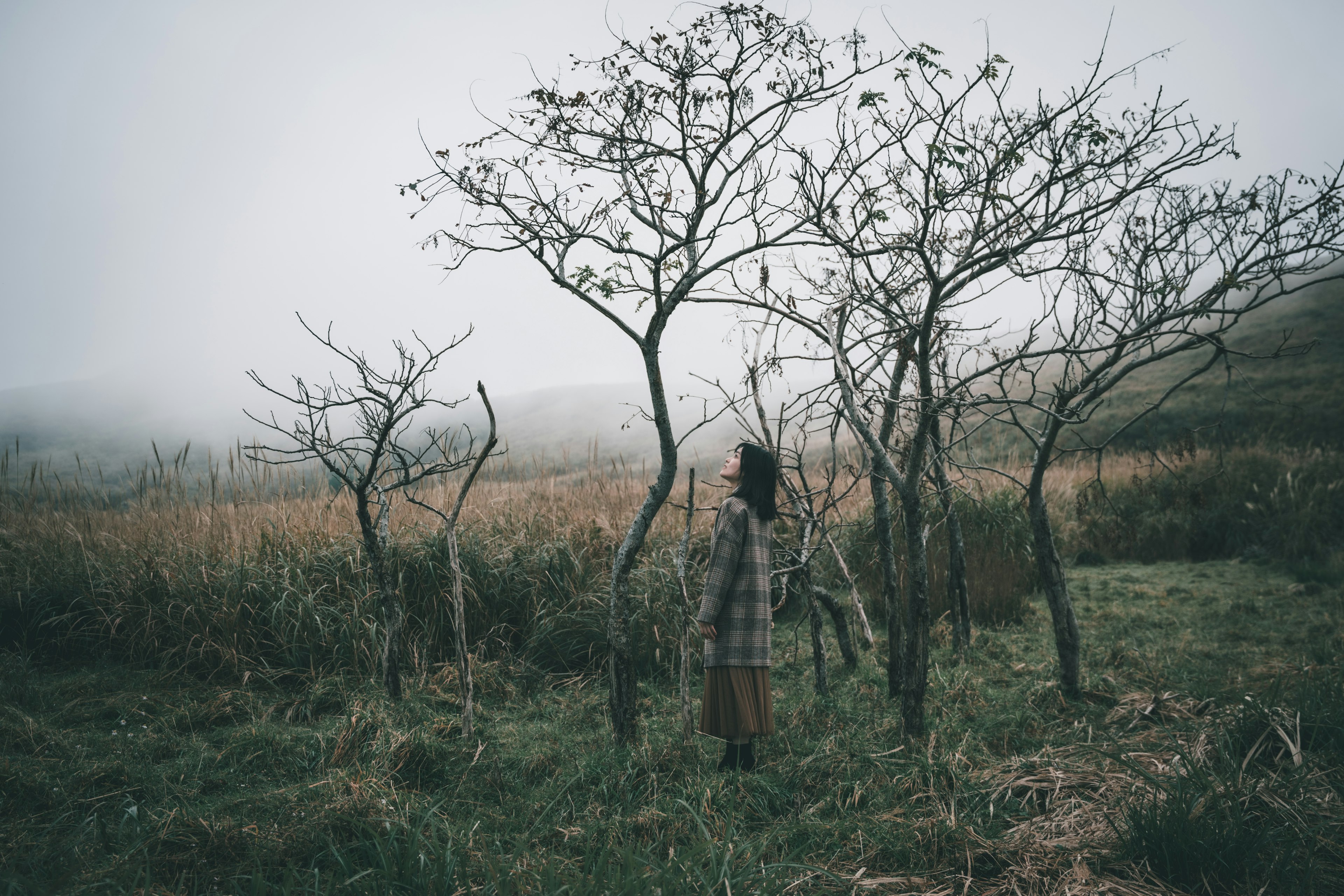 Woman standing among leafless trees in a foggy landscape