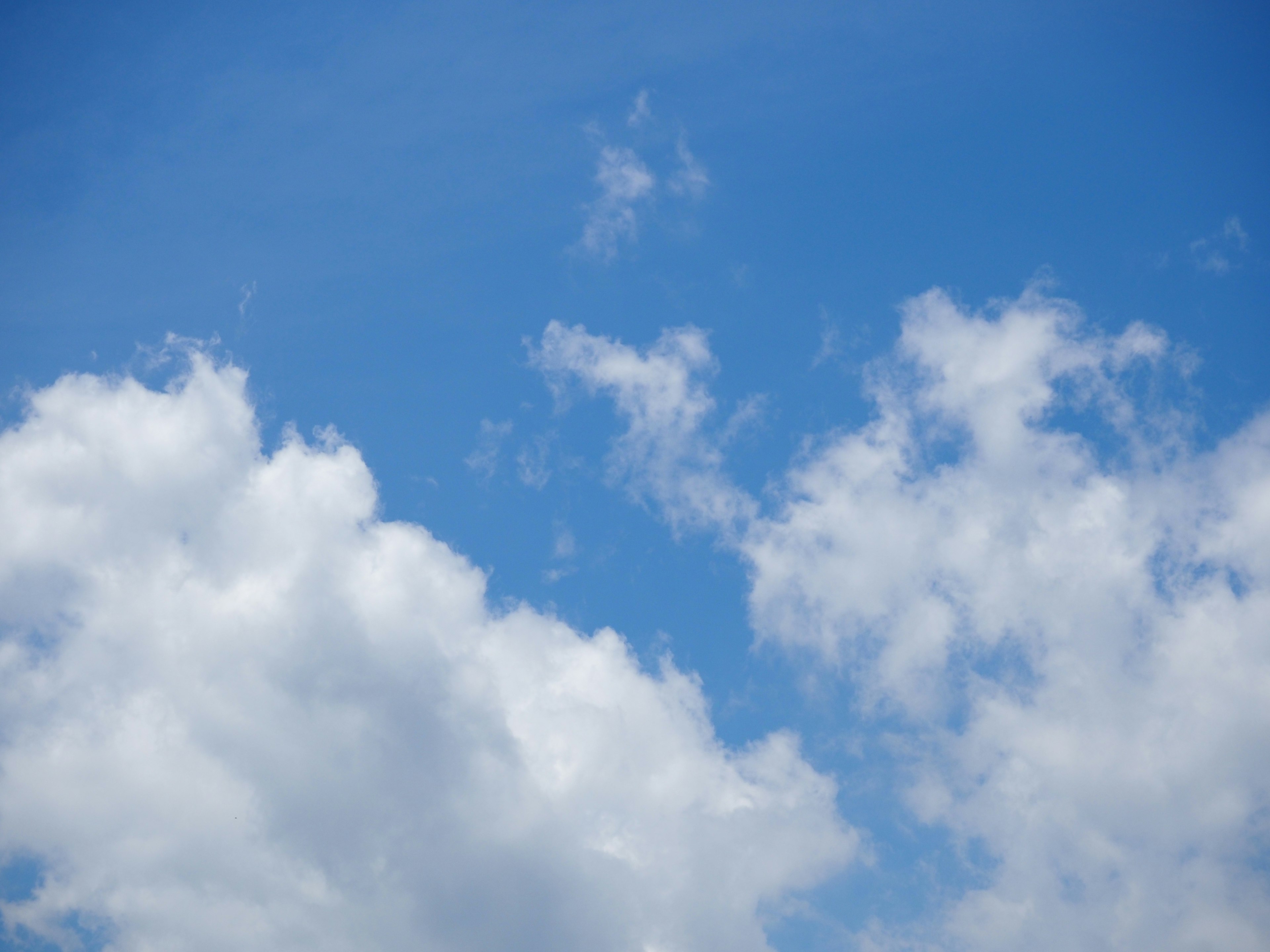 Awan putih mengapung di langit biru