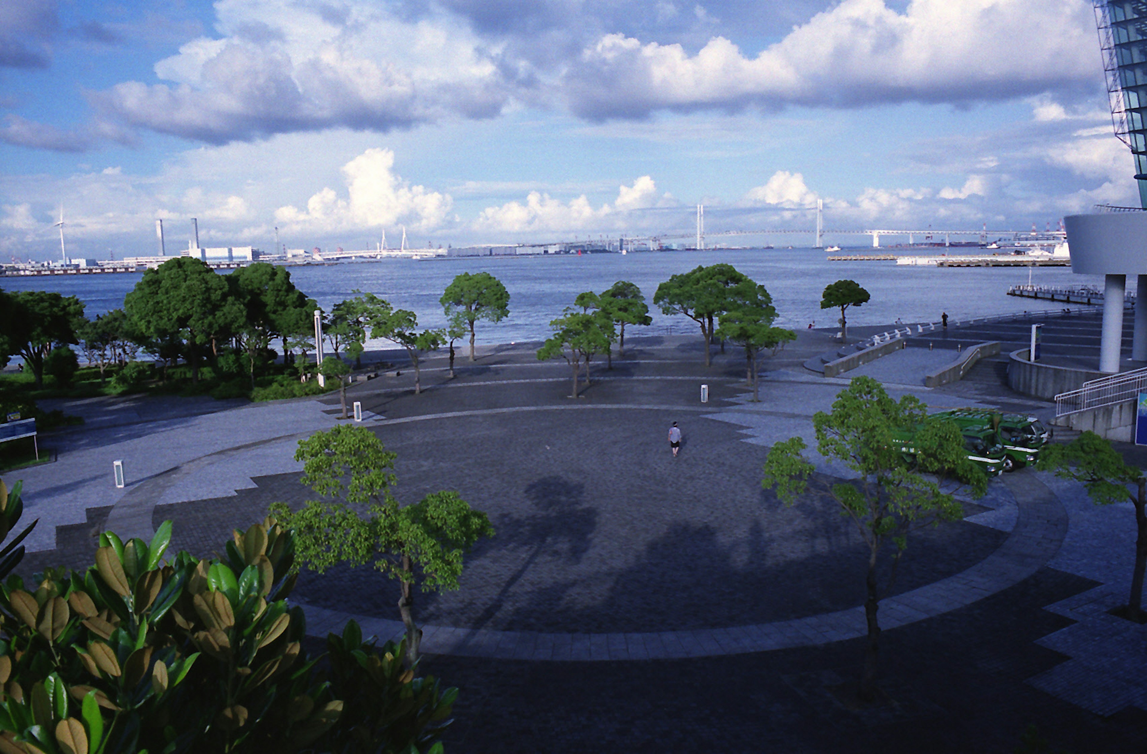 Blick auf einen Park am Meer mit grünen Bäumen und einem großen gepflasterten Bereich