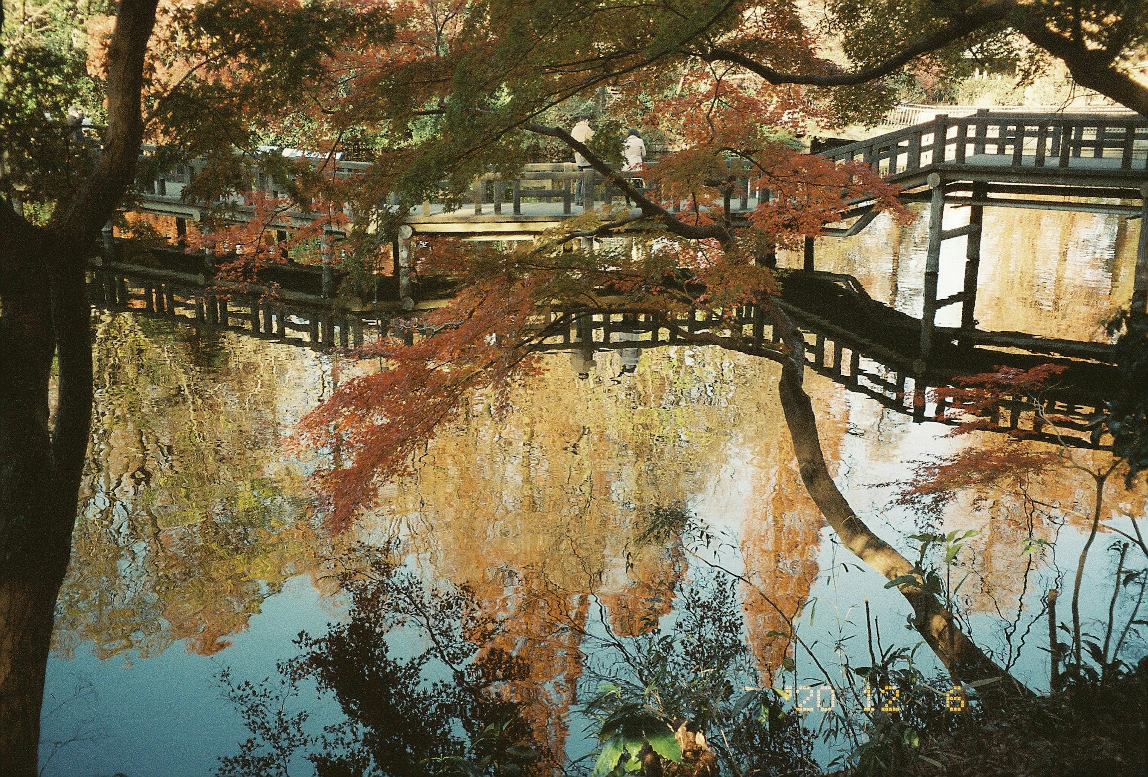 Ruhiger Teich, der Herbstblätter und eine Holzbrücke spiegelt