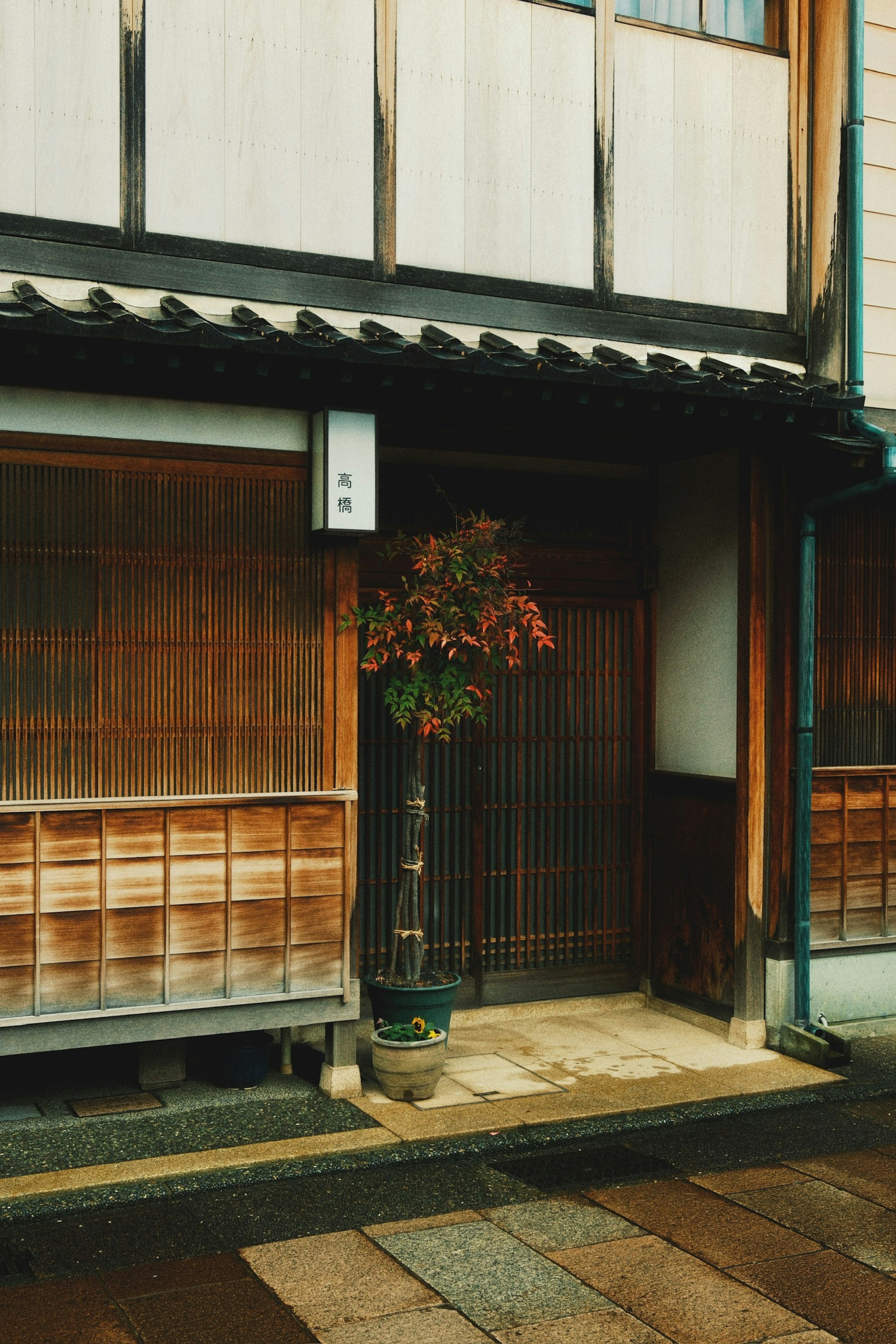 Entrada de una casa japonesa tradicional con un árbol en maceta