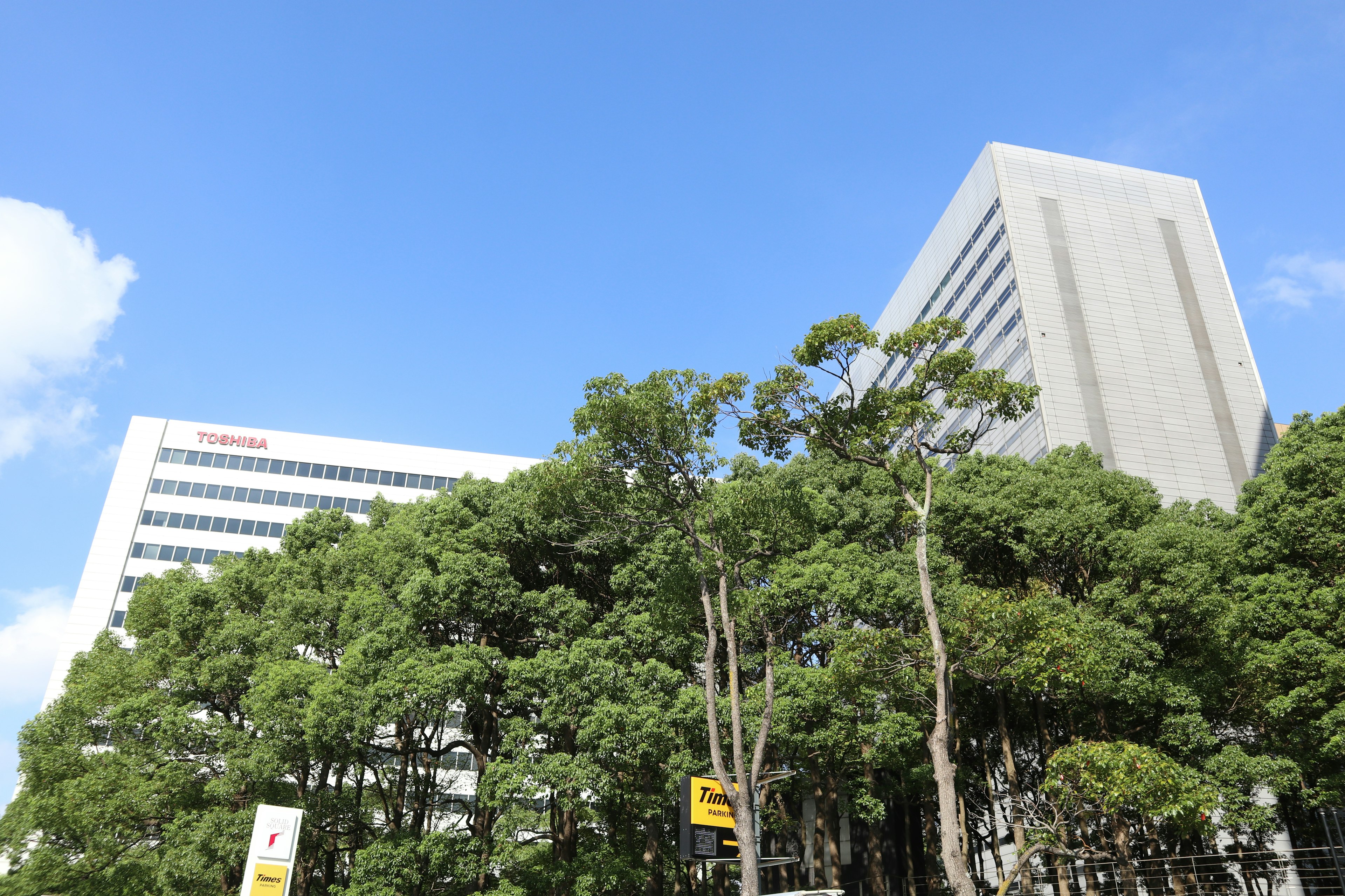 青空の下にそびえる高層ビルと緑豊かな木々