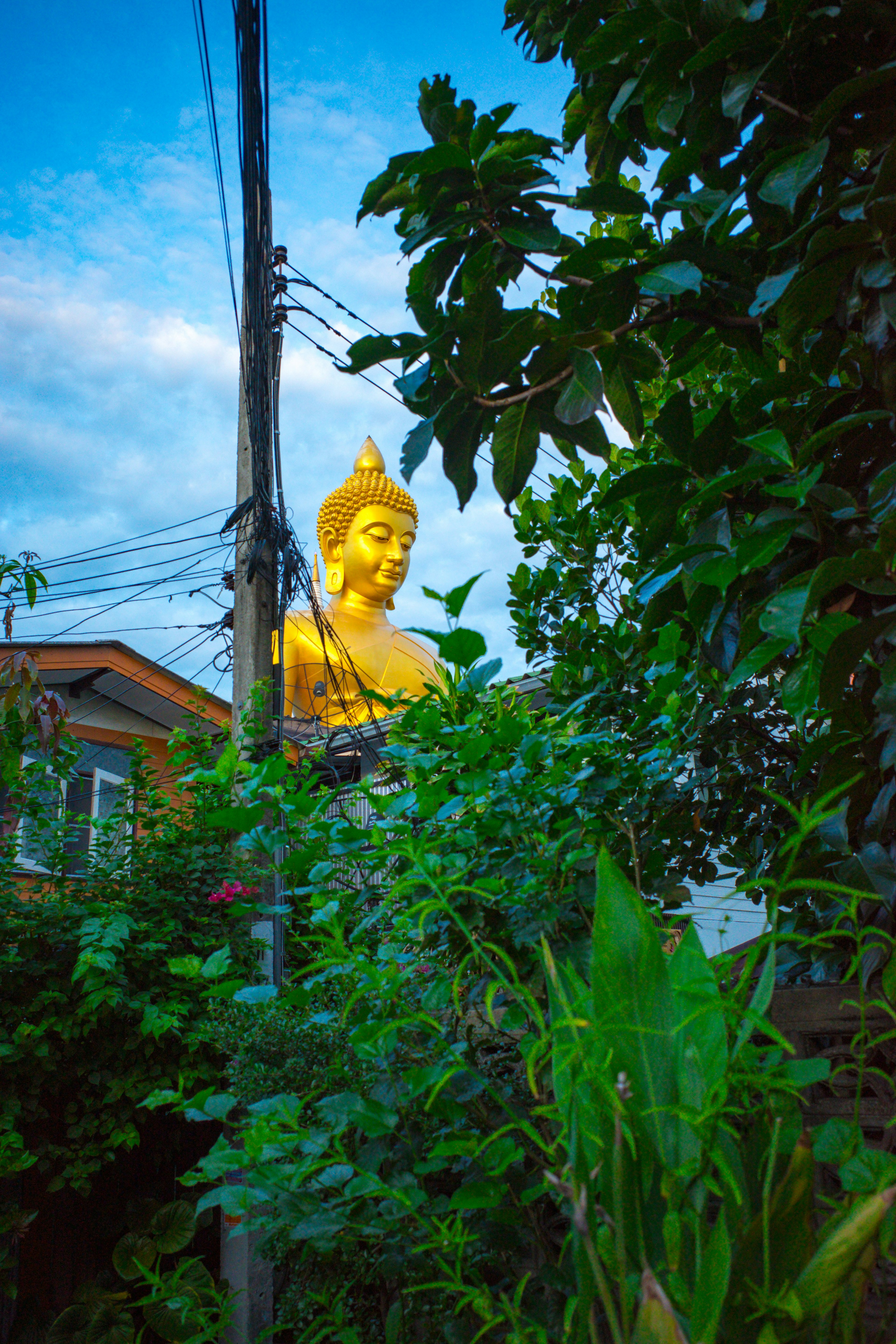 Patung Buddha emas besar dikelilingi oleh pepohonan hijau subur dan langit biru