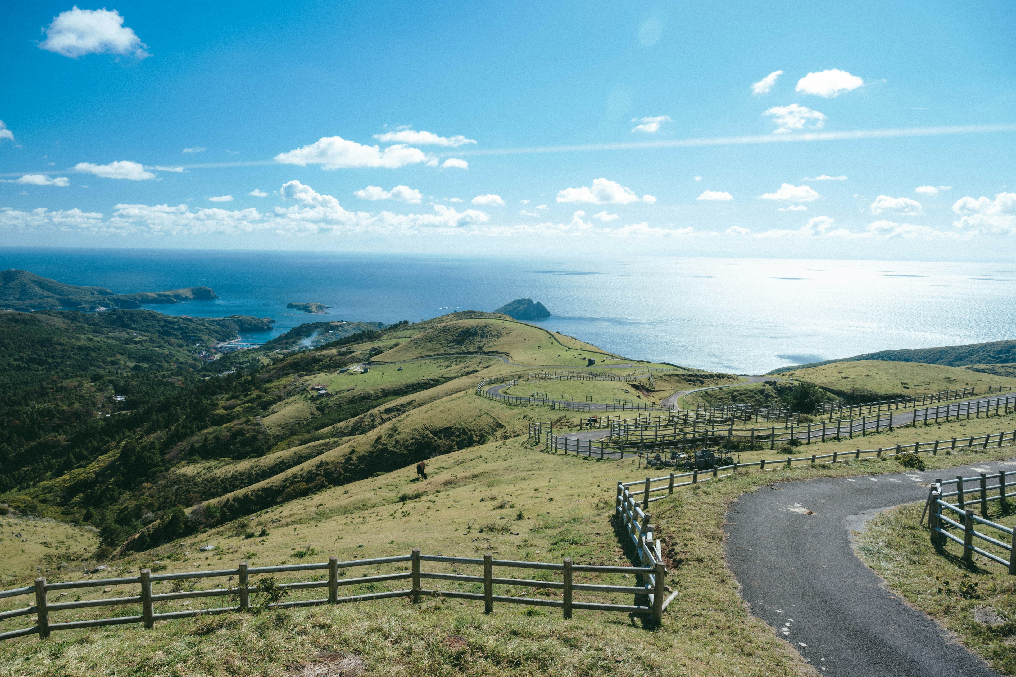 青い空と海の景色が広がる丘陵地帯の風景 緑の草原と木製のフェンスが特徴