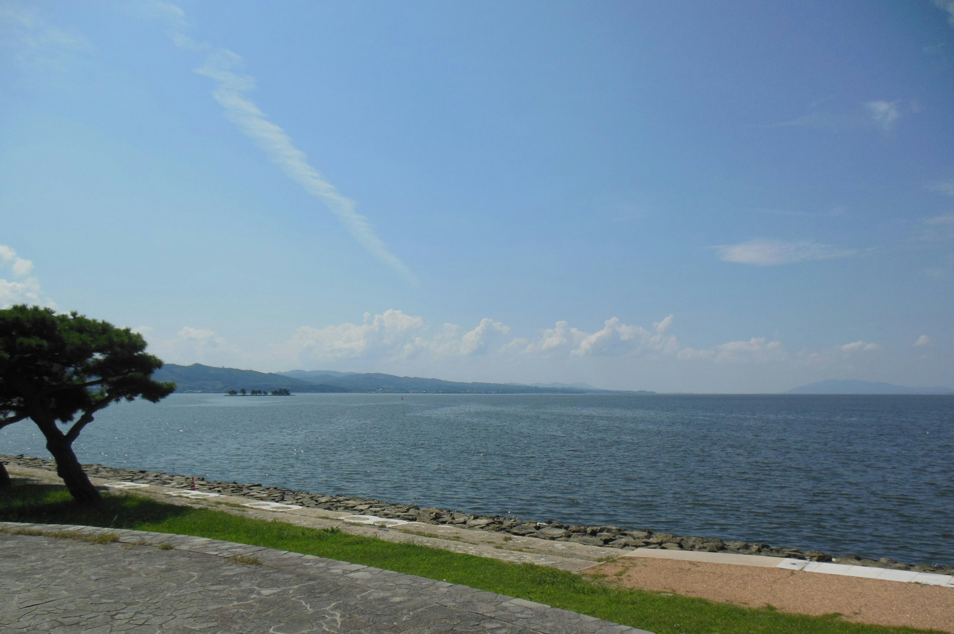 Pemandangan laut tenang dan langit biru dengan rumput hijau dan pohon