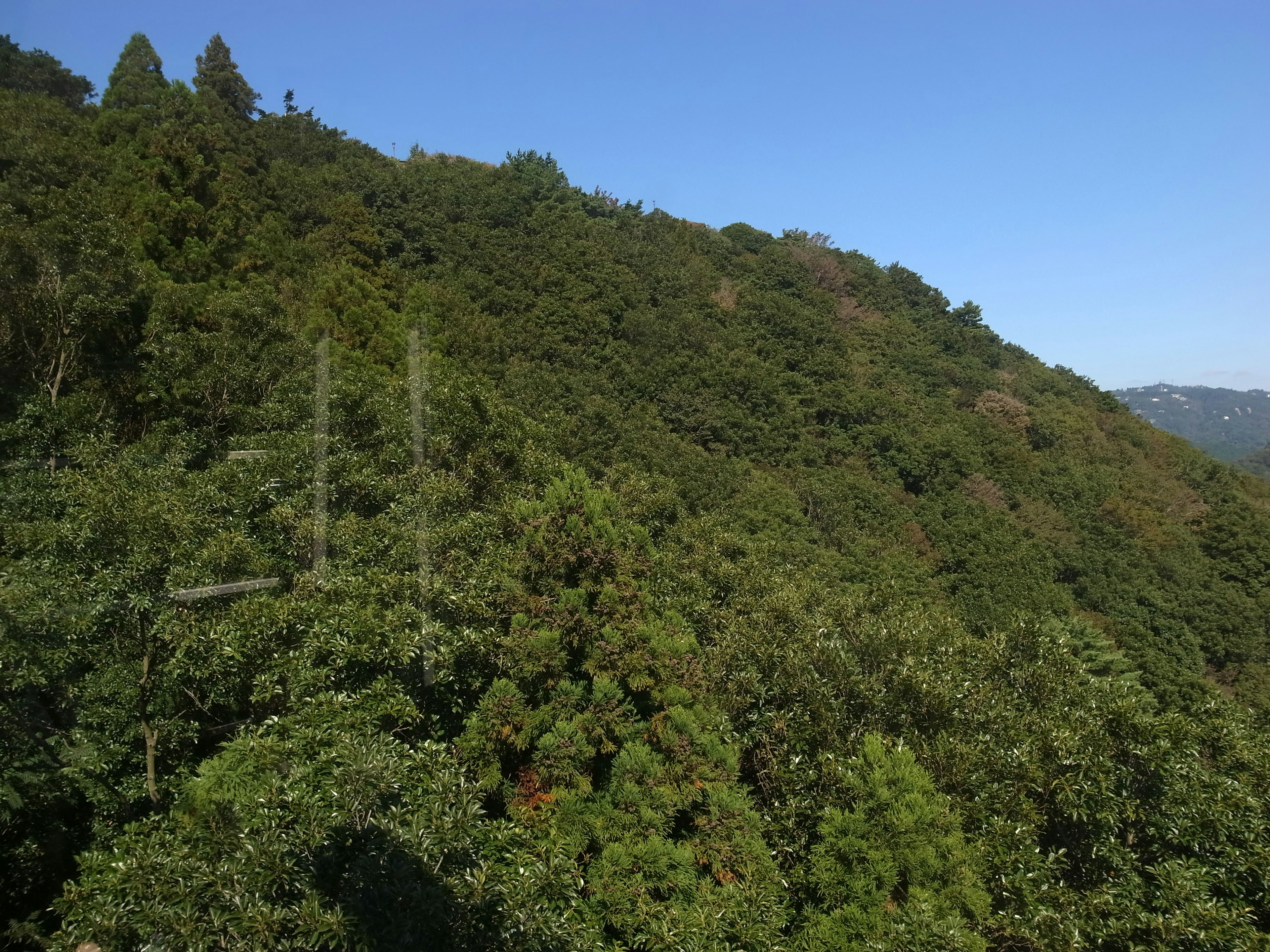 郁郁蔥蔥的綠色山坡和晴朗的藍天