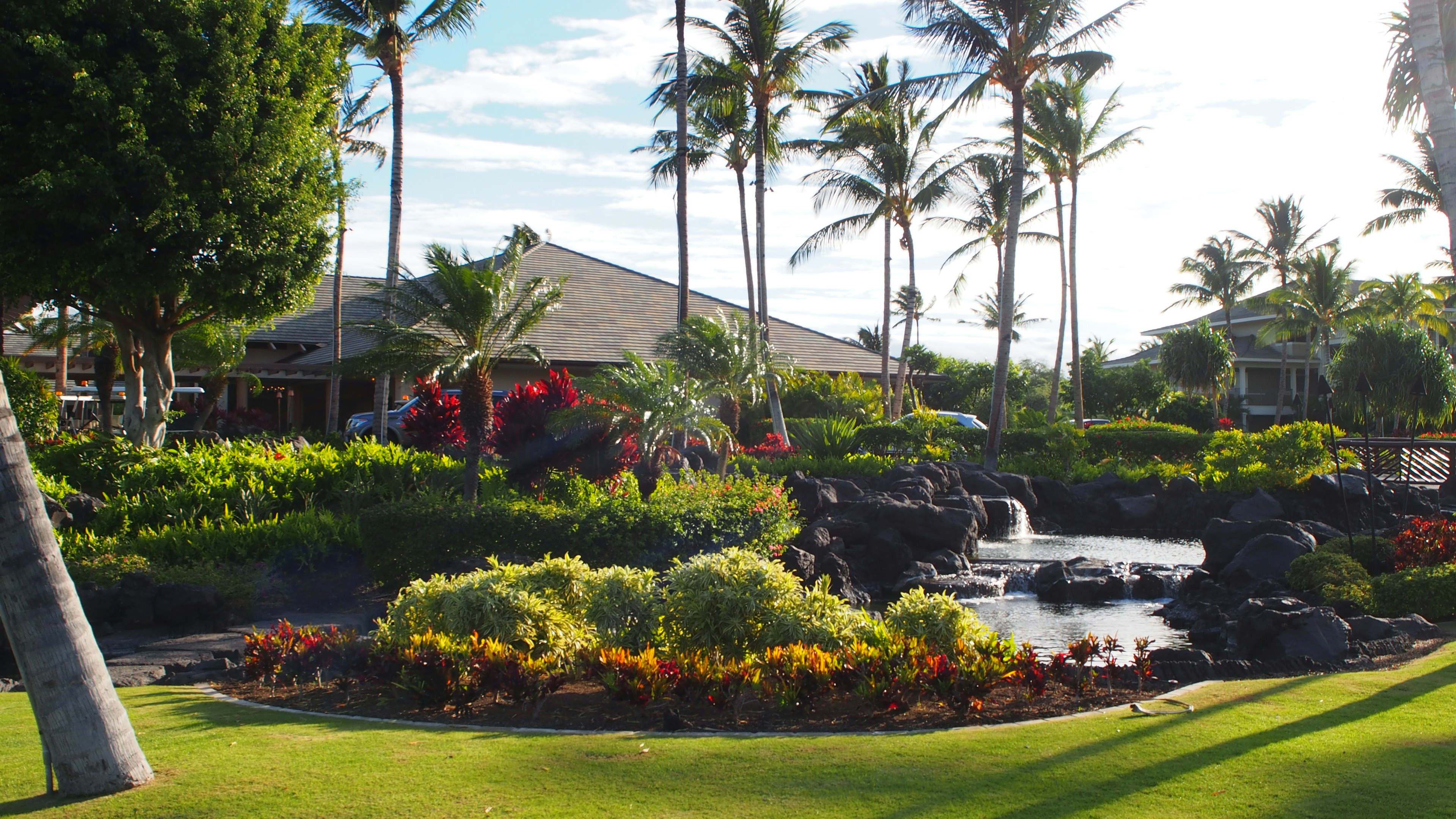 Paysage tropical avec un beau jardin et une cascade verdure luxuriante et fleurs vibrantes