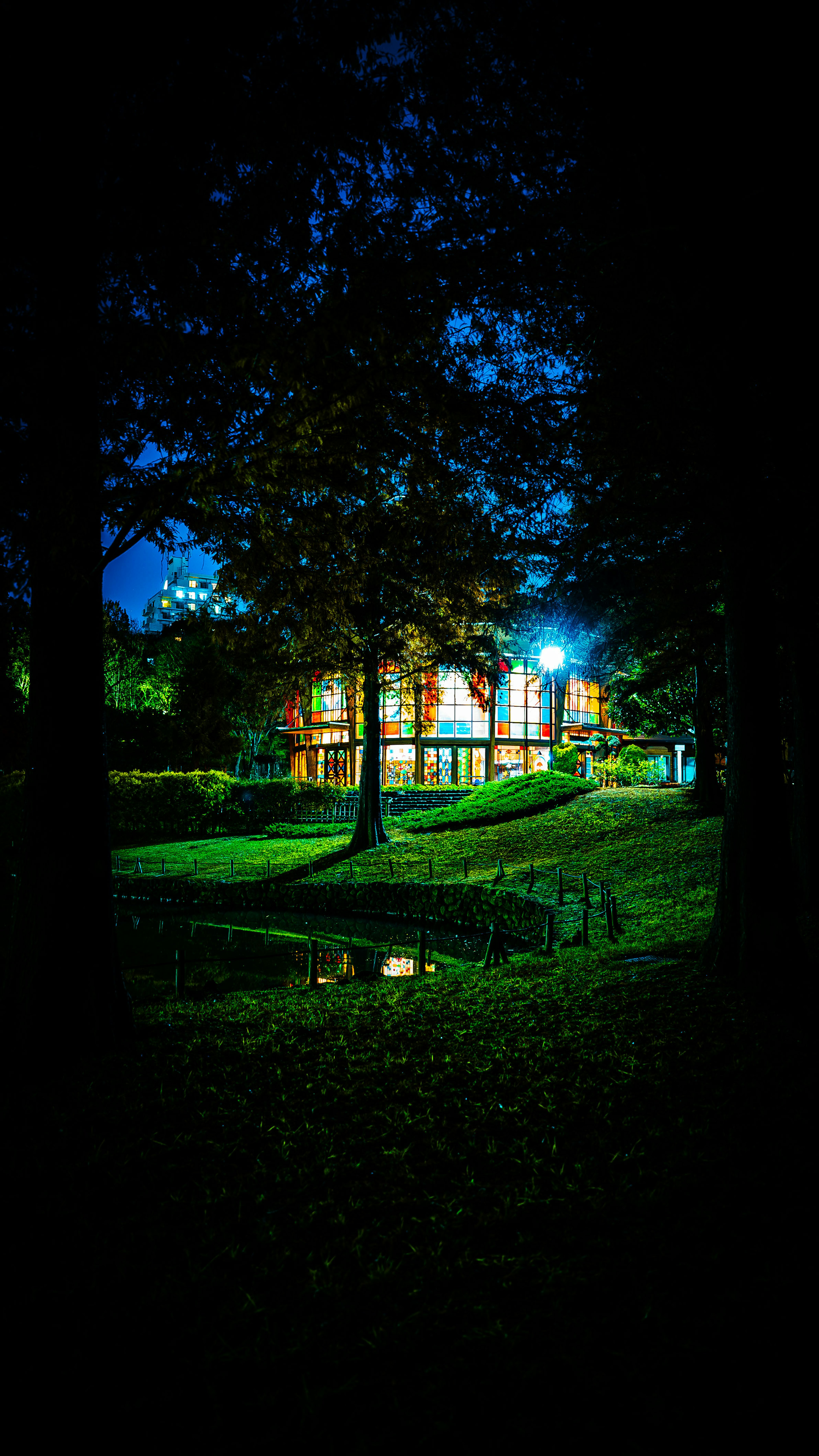 夜の公園にある美しい家の光が映る風景