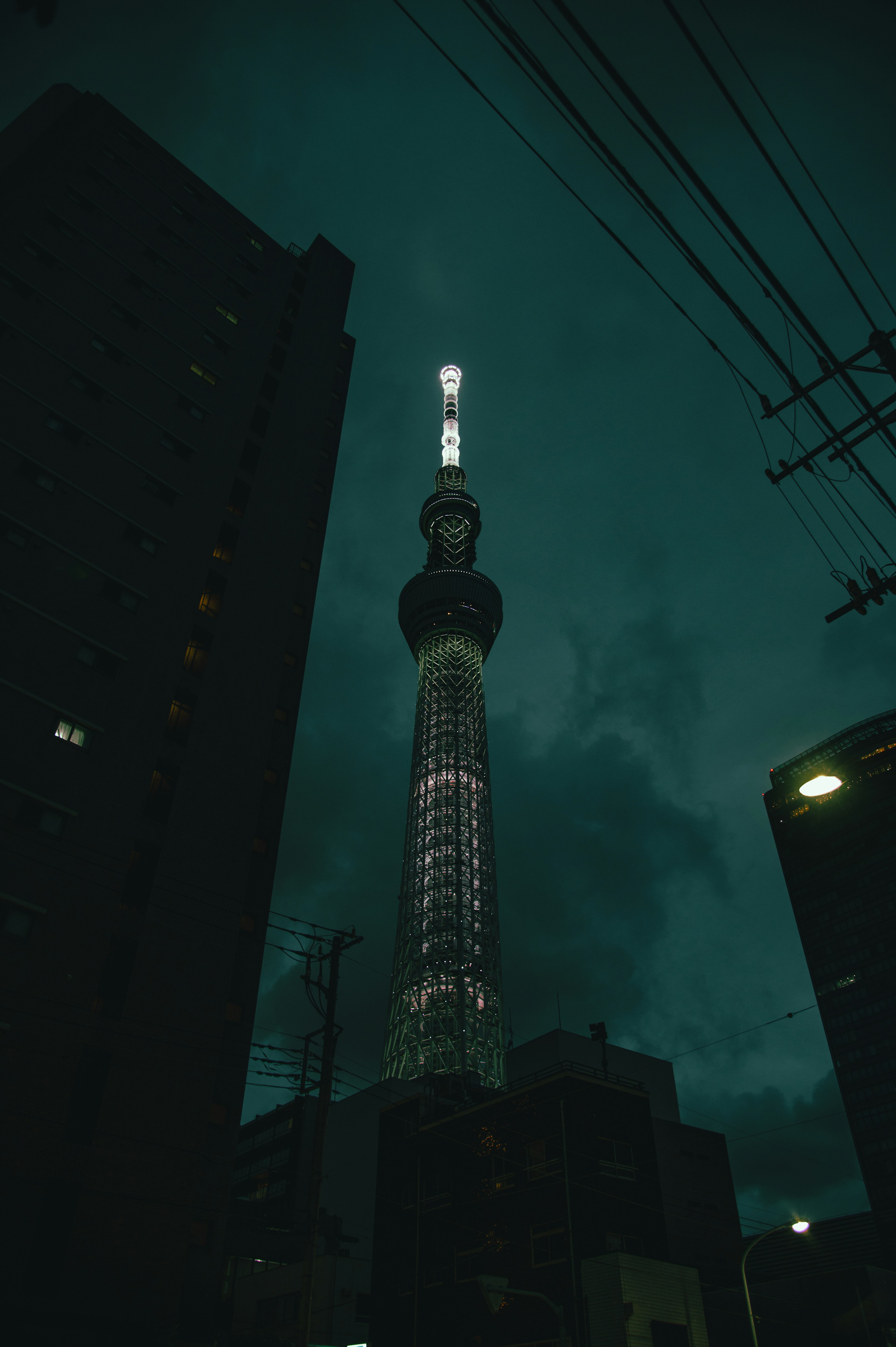 Tokyo Skytree illuminated at night seen between buildings