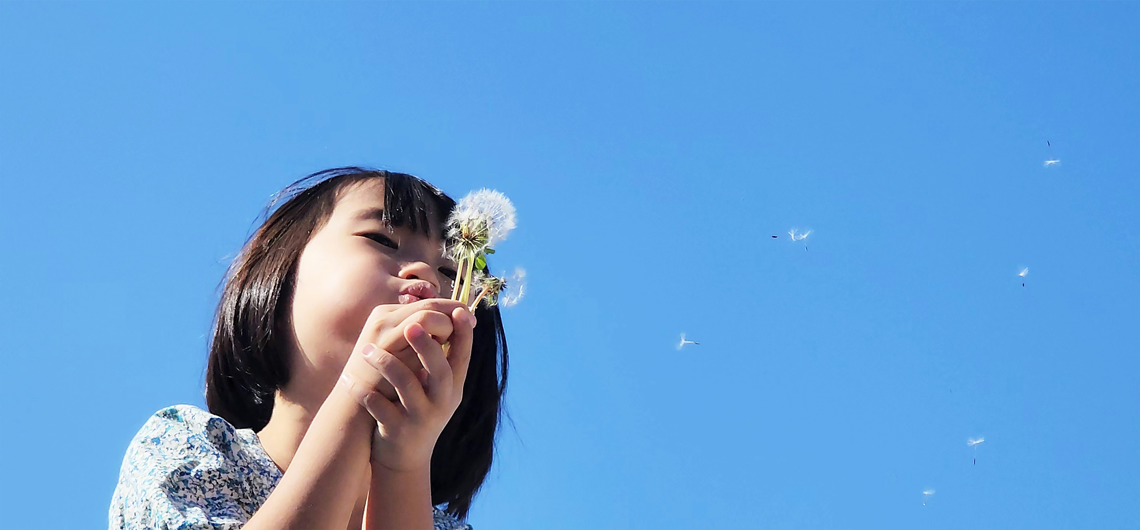 Gadis memegang dandelion di bawah langit biru