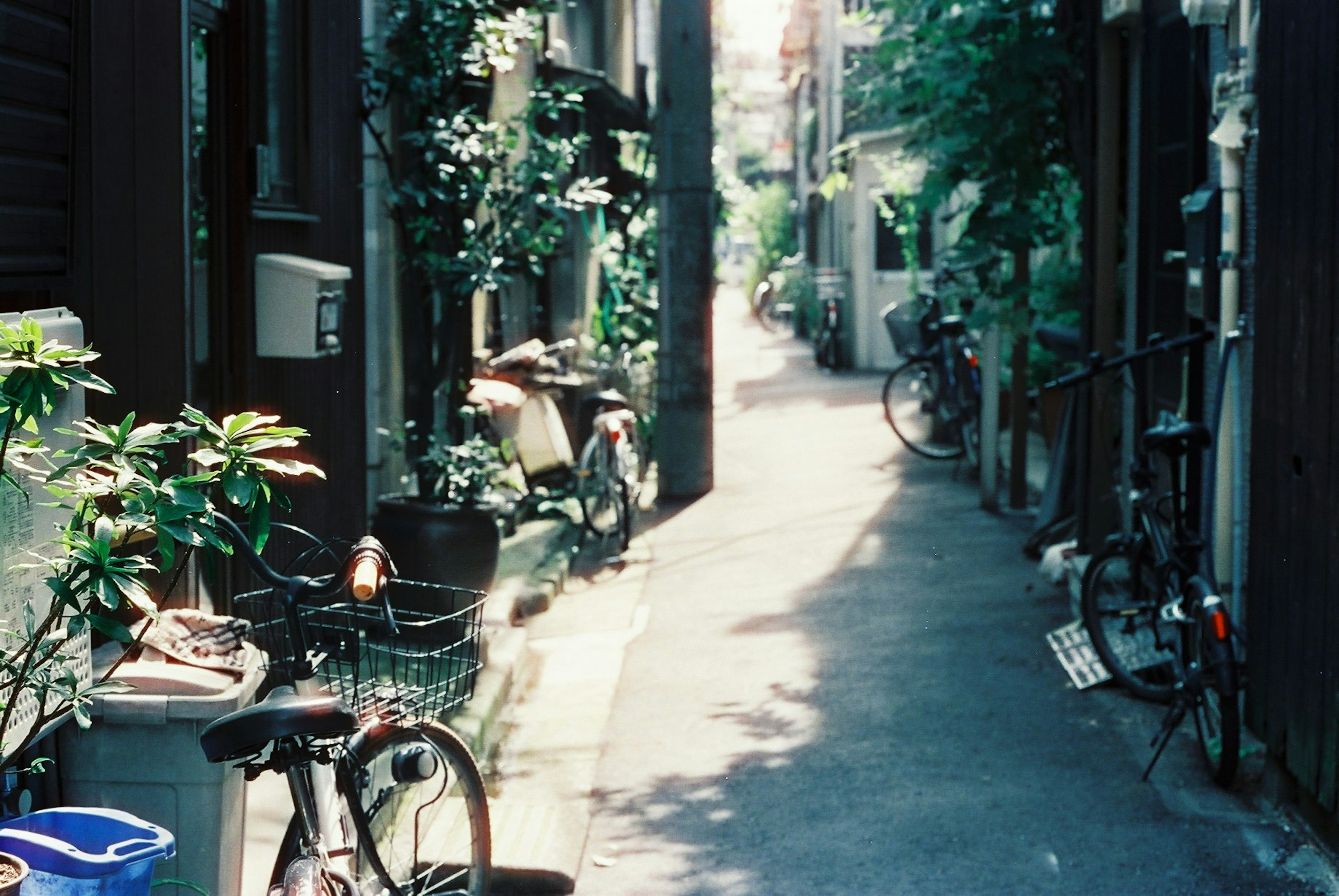 Enge Gasse gesäumt von Fahrrädern und Grünflächen