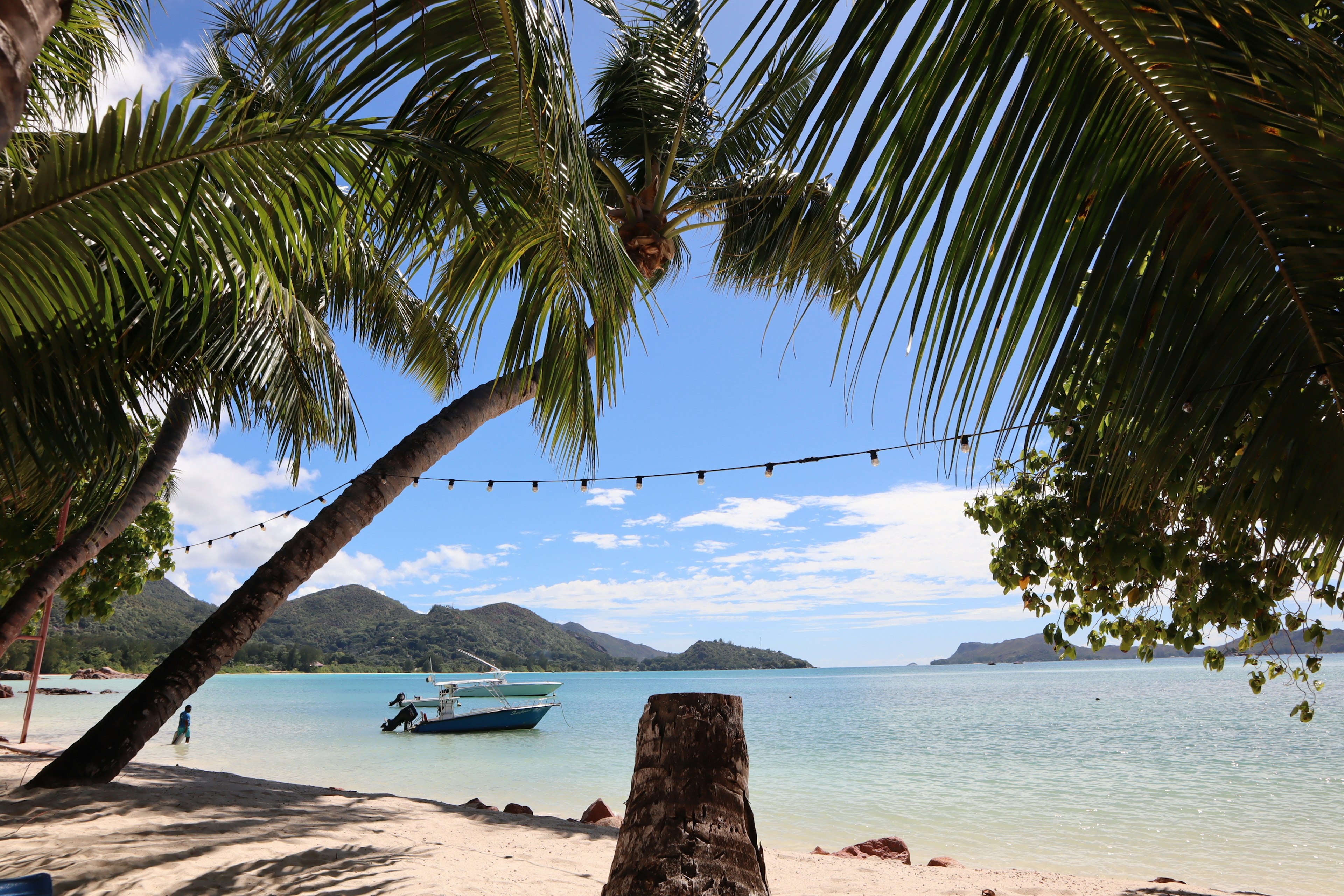 Malersicher Blick auf Palmen und ein Boot an einem Sandstrand mit blauem Wasser