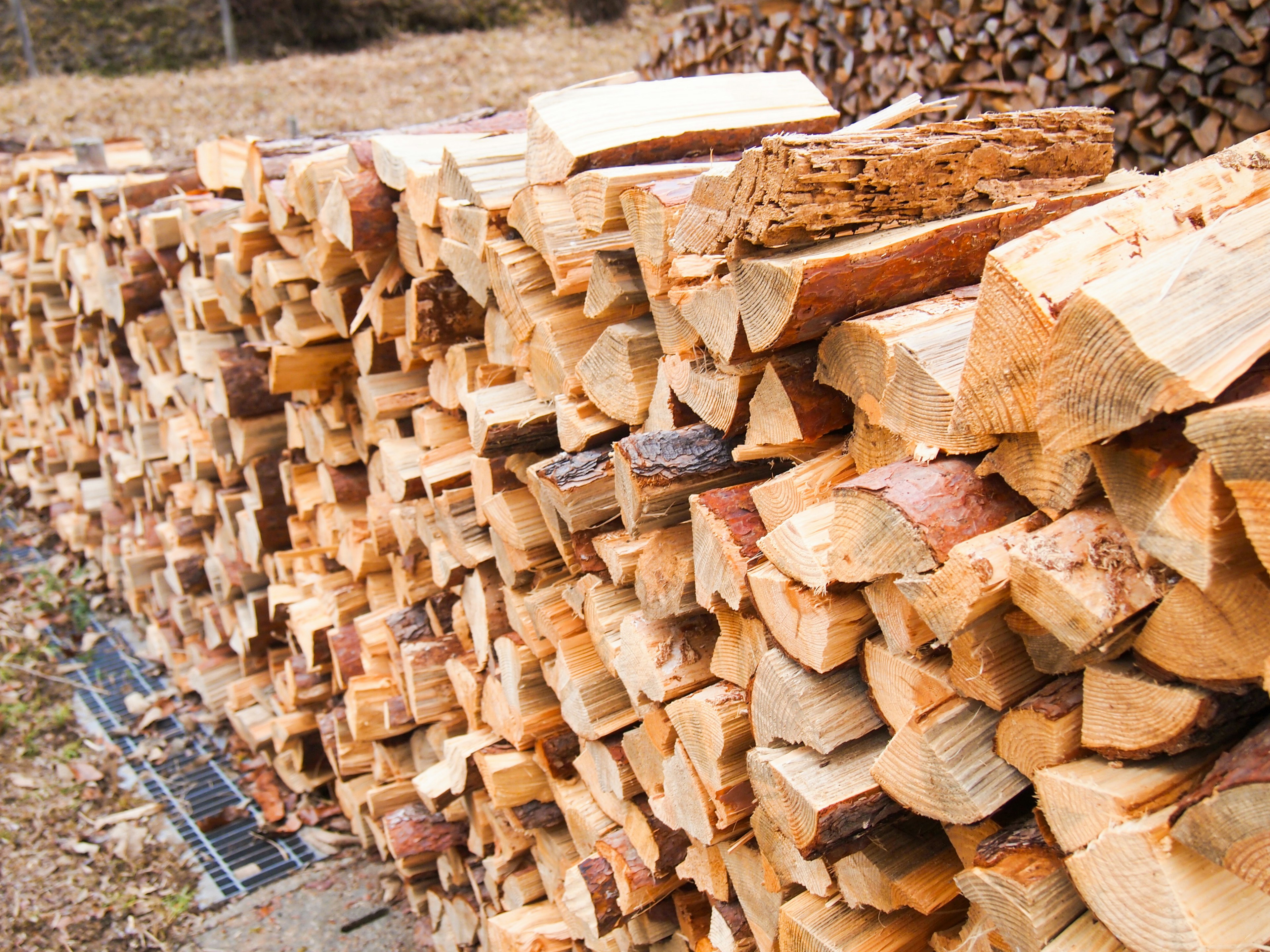 Stacked firewood arranged neatly in piles