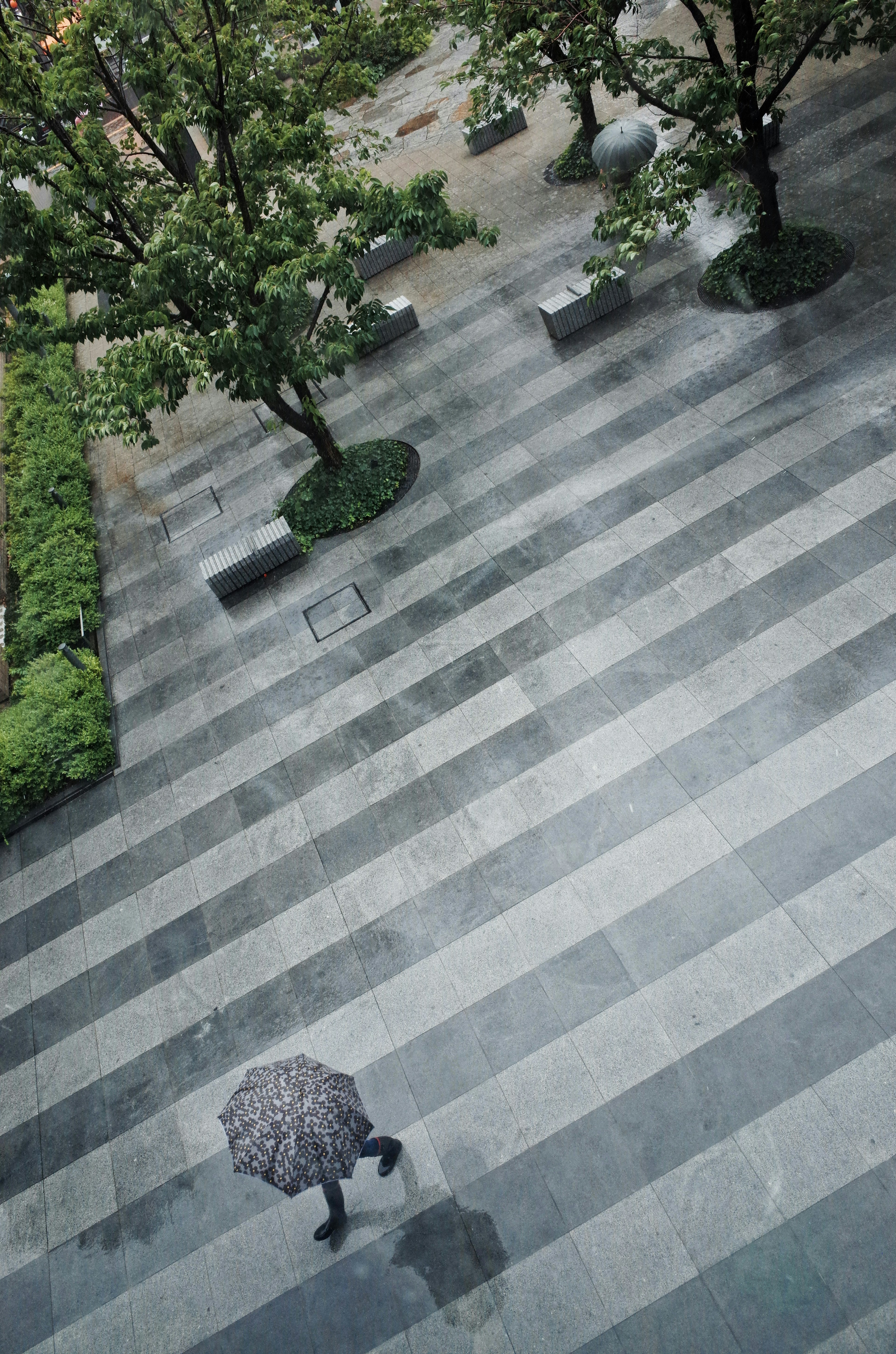 雨の中、傘を持った人物がストライプの舗装の上を歩いている