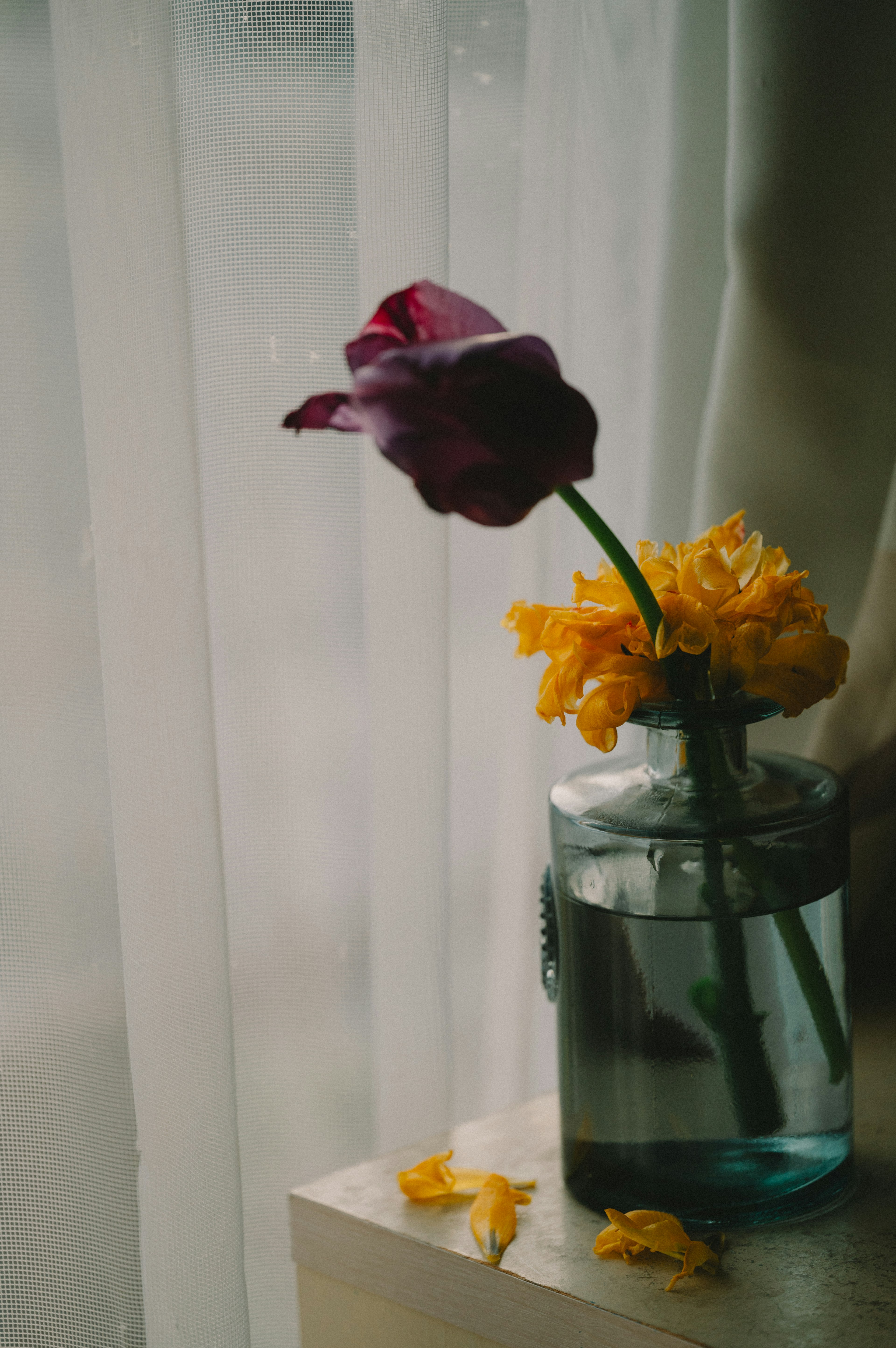 A glass vase with a purple flower and yellow flowers placed by a window