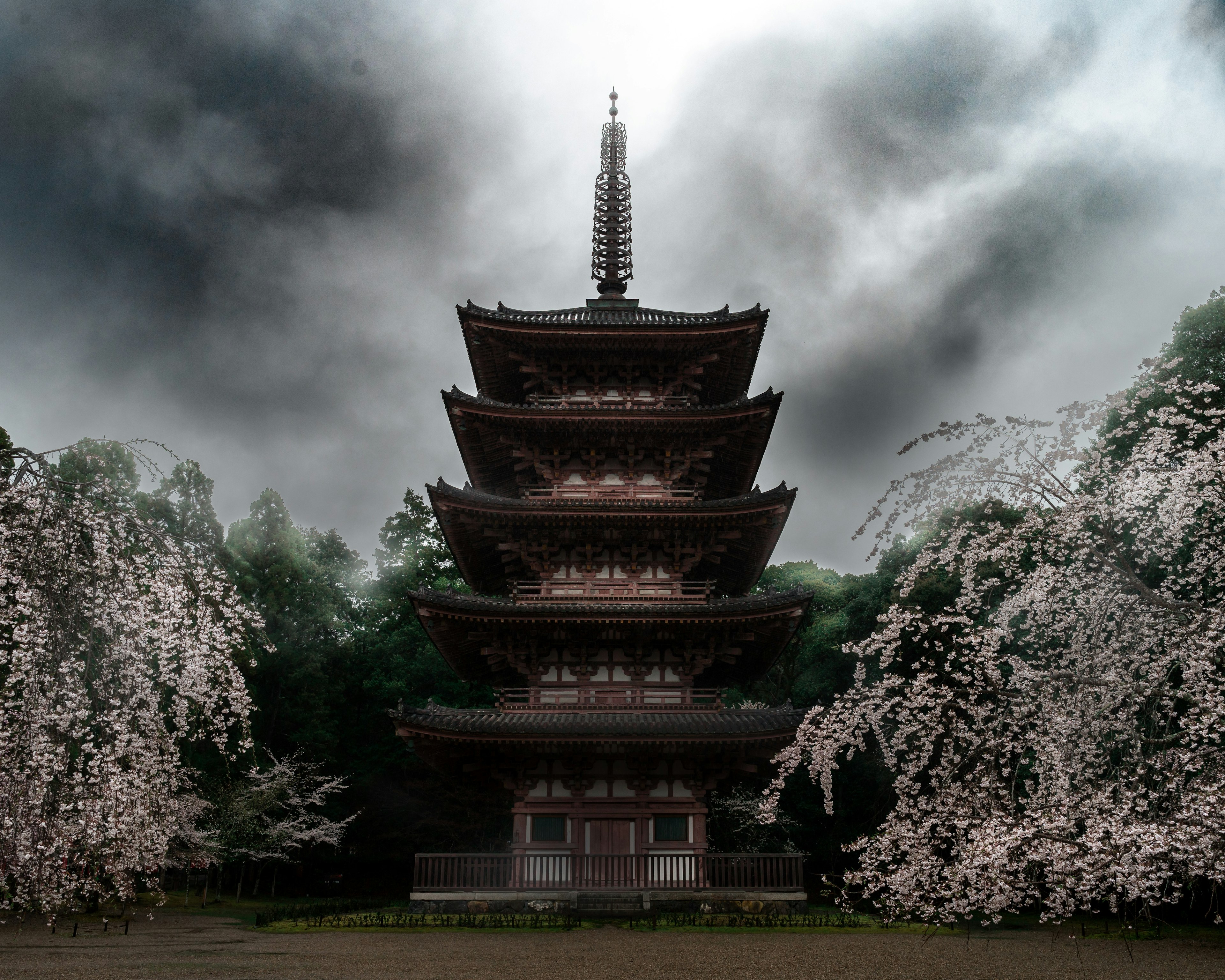 Five-story pagoda surrounded by cherry blossom trees