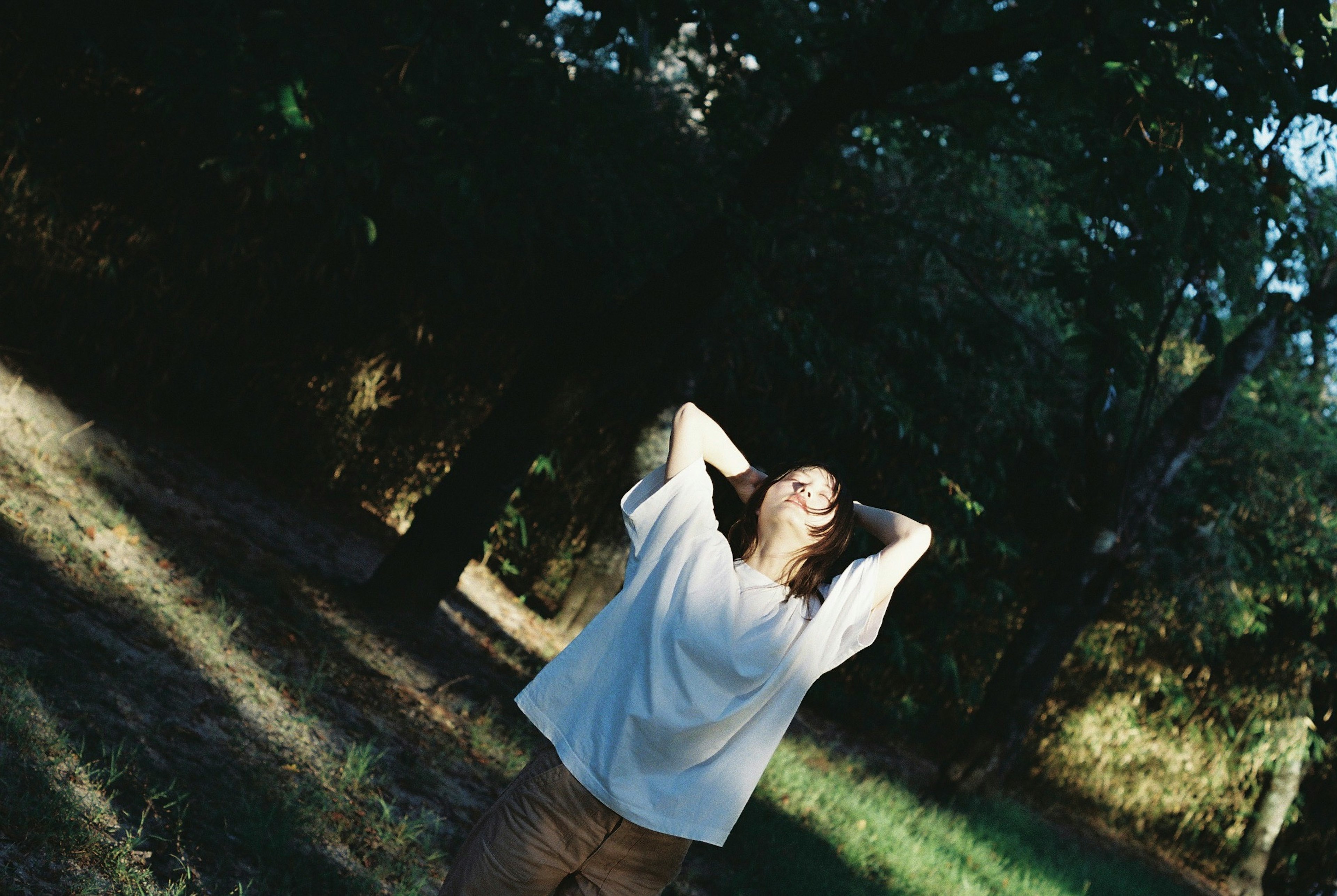 Une femme posant dans la nature avec la lumière du soleil filtrant à travers les arbres