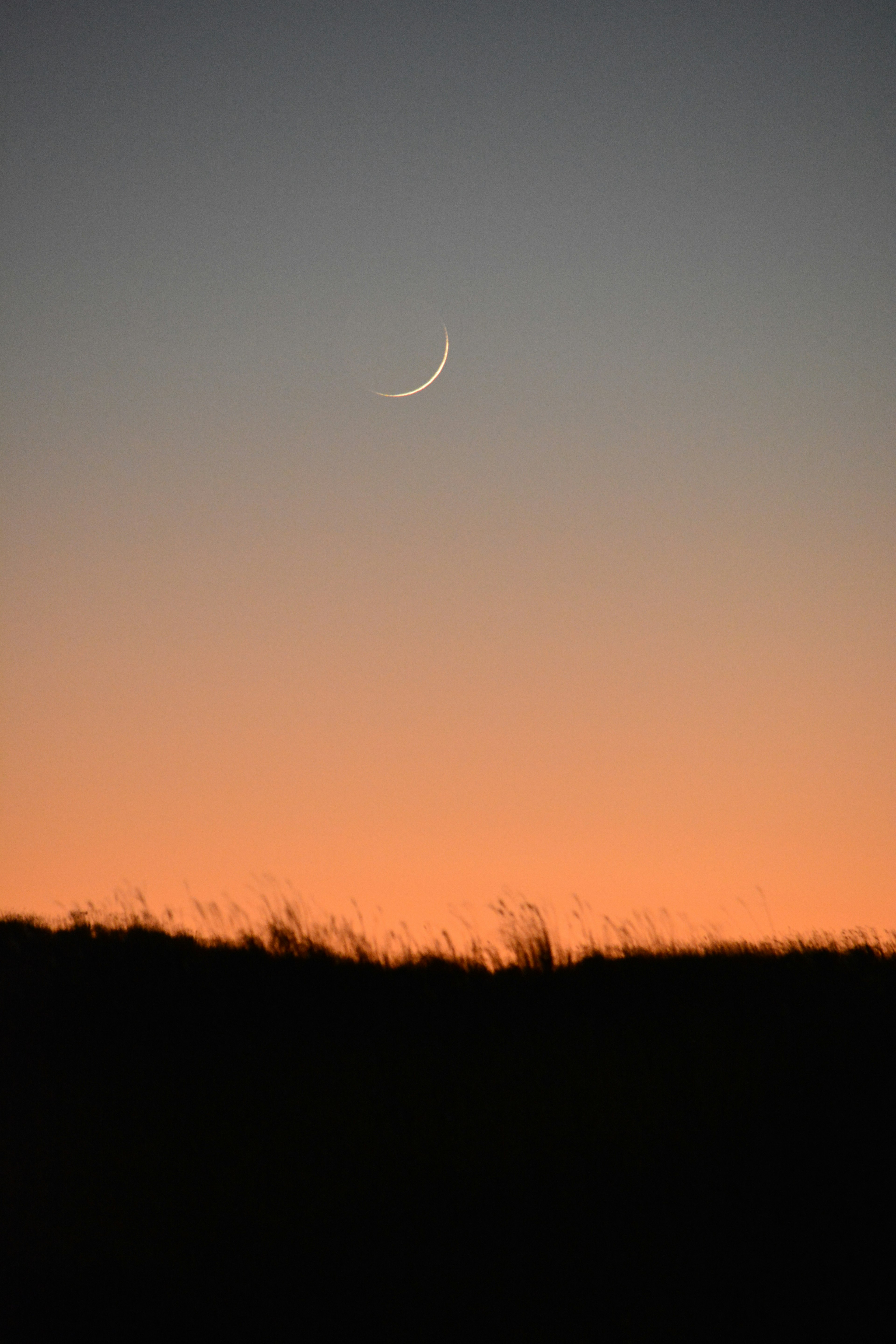 Luna crescente sottile in un cielo al tramonto con silhouette di prateria