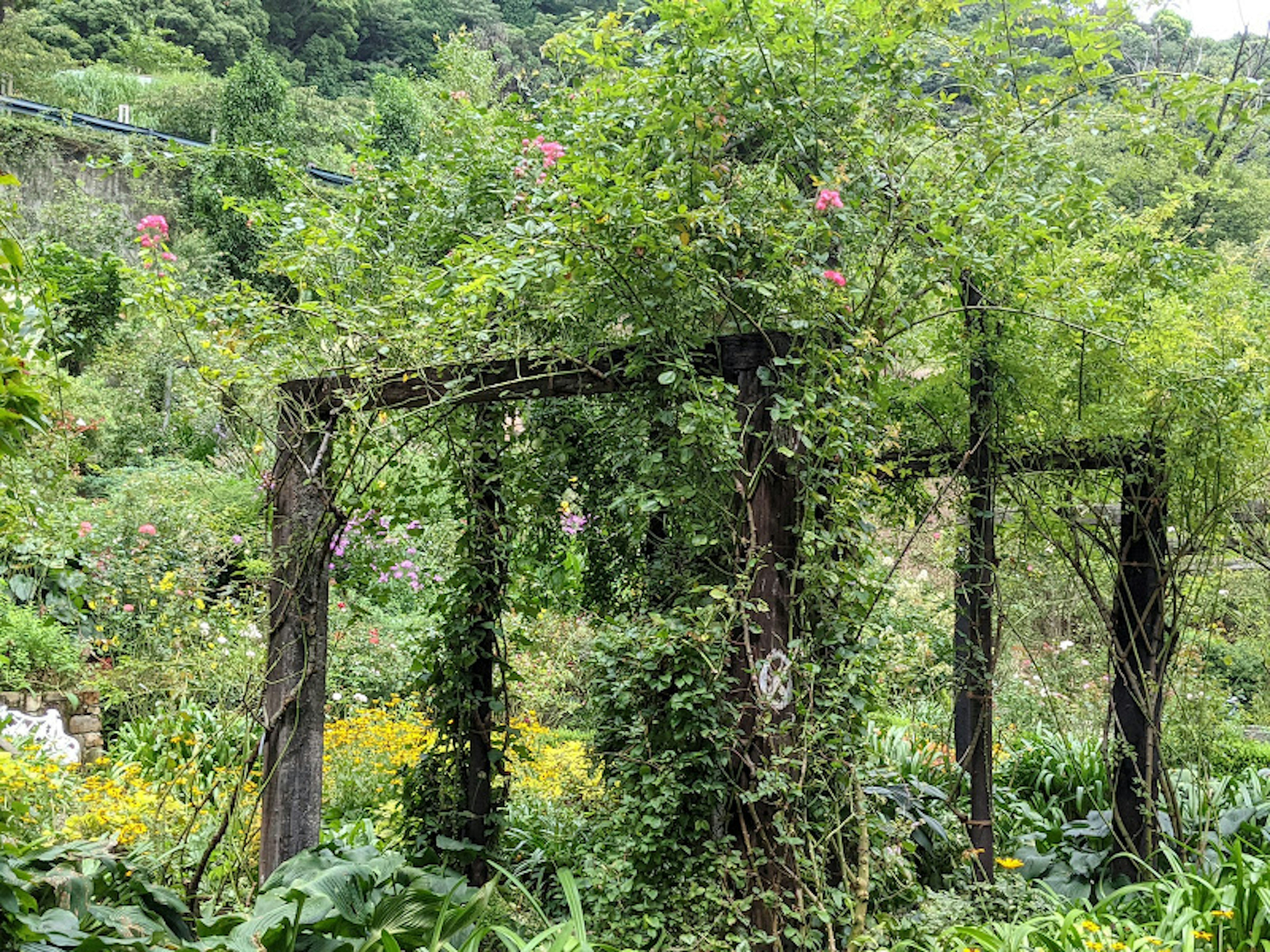 Arche en bois recouvert de verdure avec des fleurs dans un paysage luxuriant