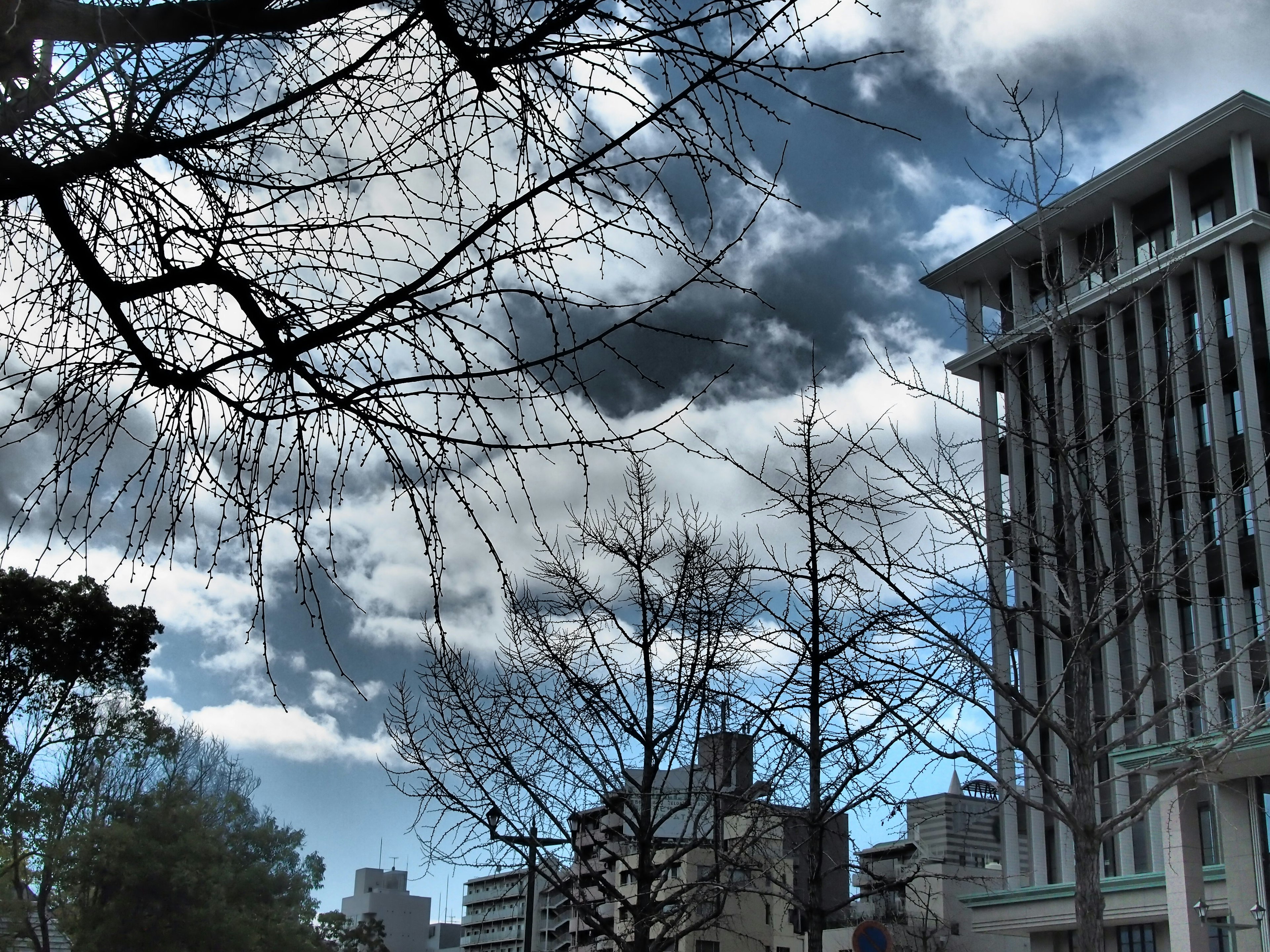 Paisaje urbano con un edificio y árboles desnudos bajo un cielo nublado