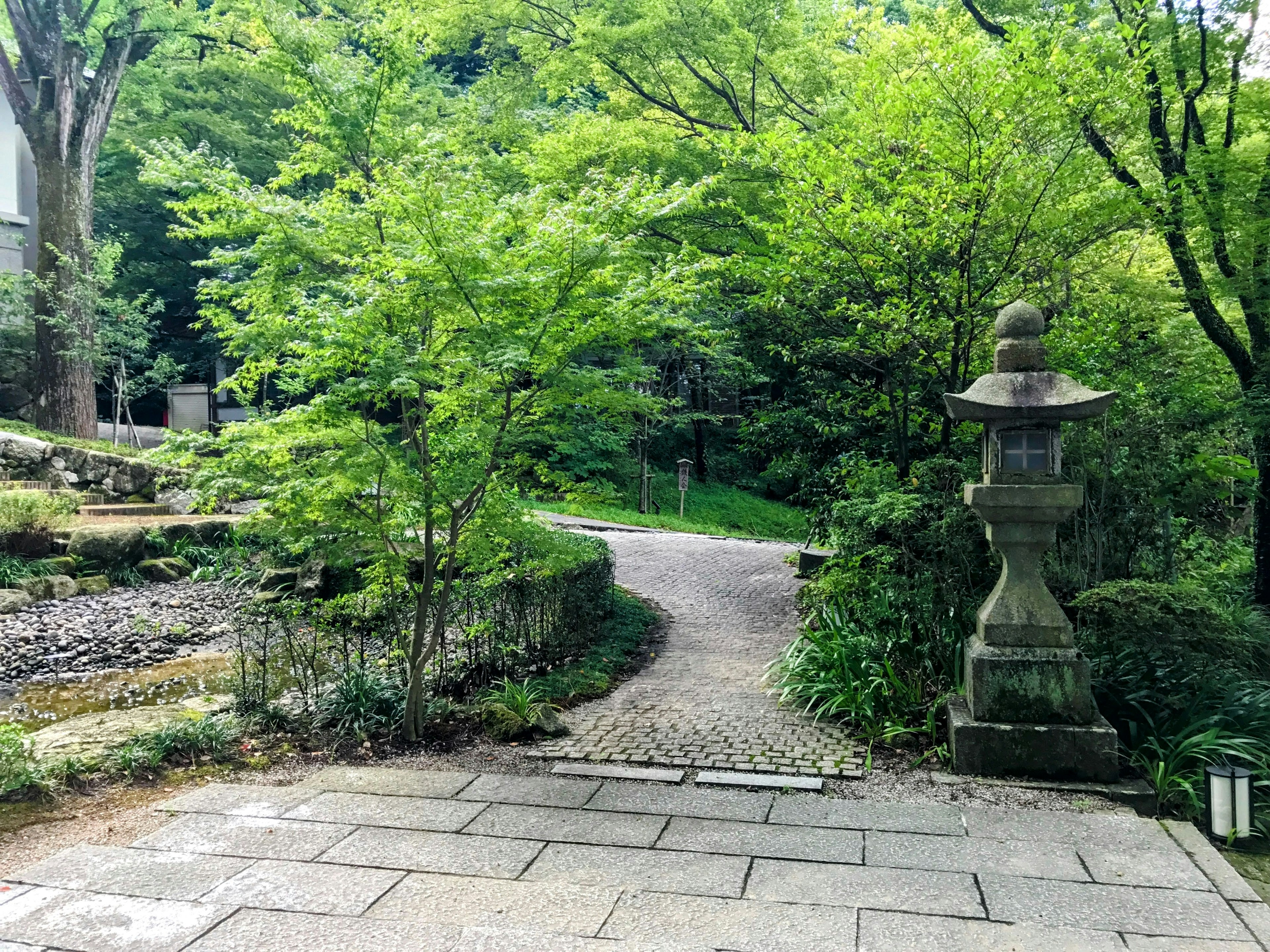 Lush garden pathway with stone lantern