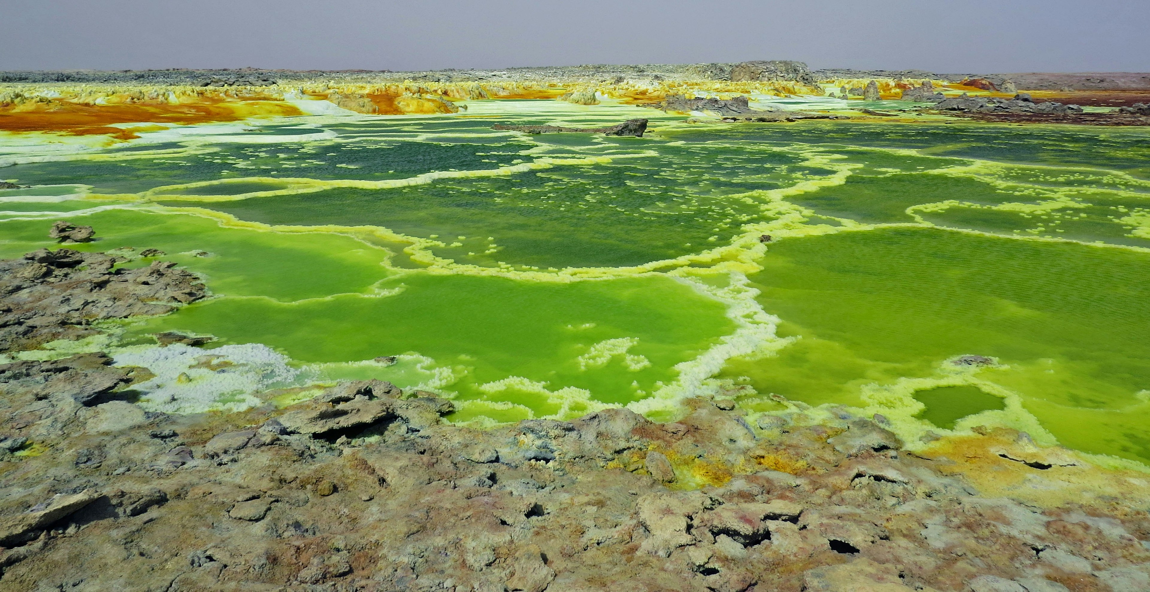 Lanskap hijau dan kuning yang hidup di Danakil Lake