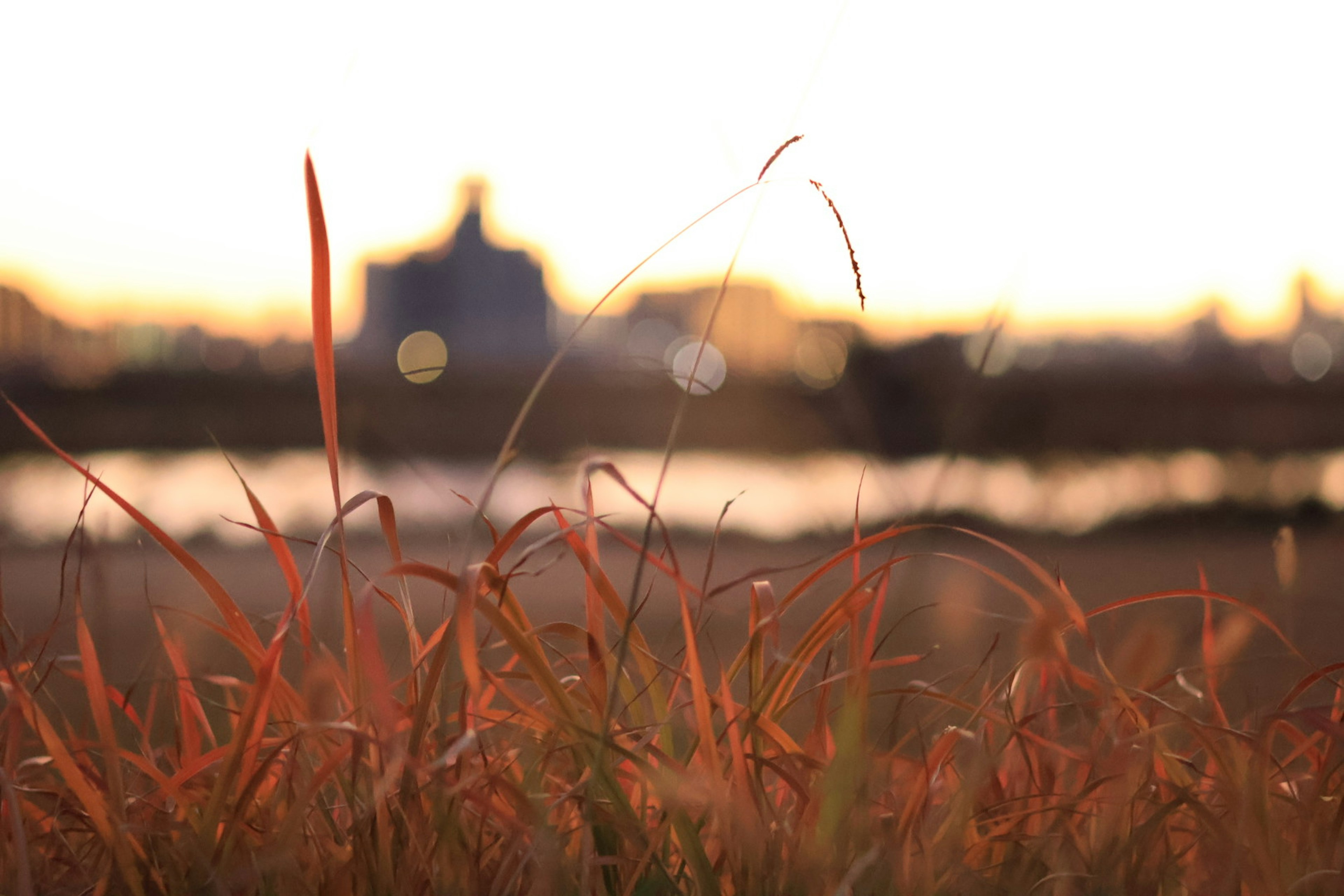 Paysage urbain flou au crépuscule avec de l'herbe au premier plan