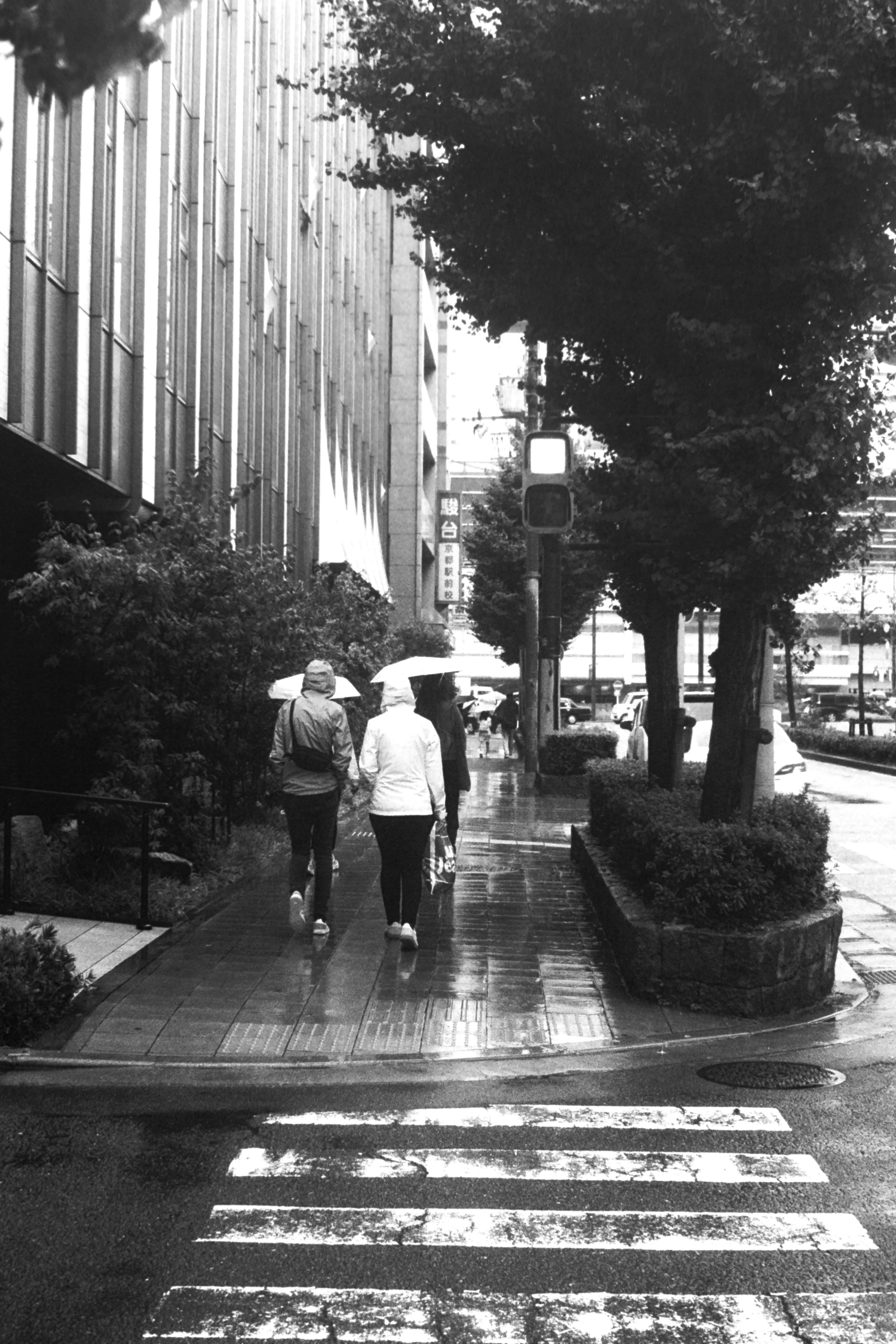 雨の中で傘を持った二人の人物が歩いているモノクロの街並み