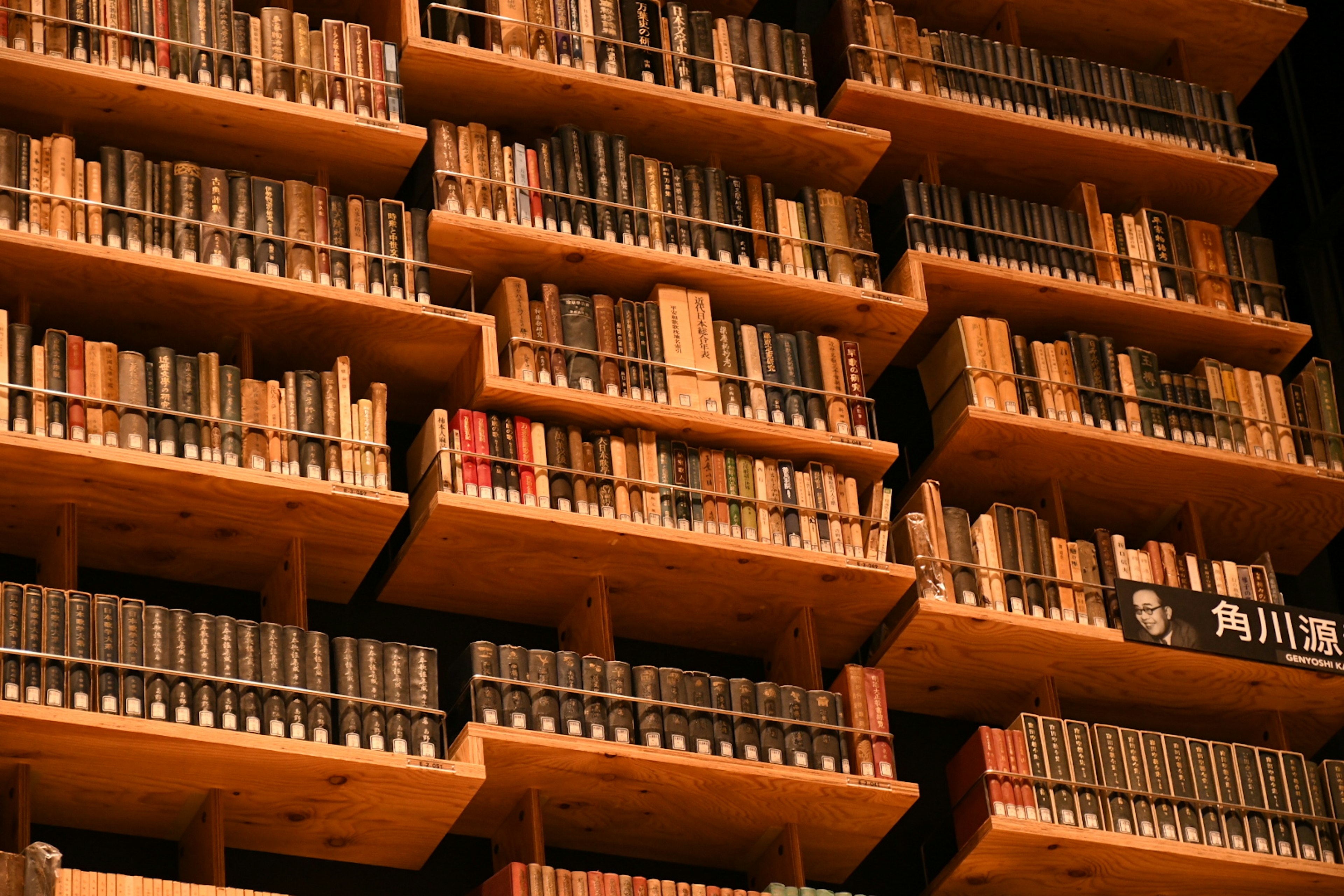 Interno di una biblioteca con libri ordinati su scaffali di legno