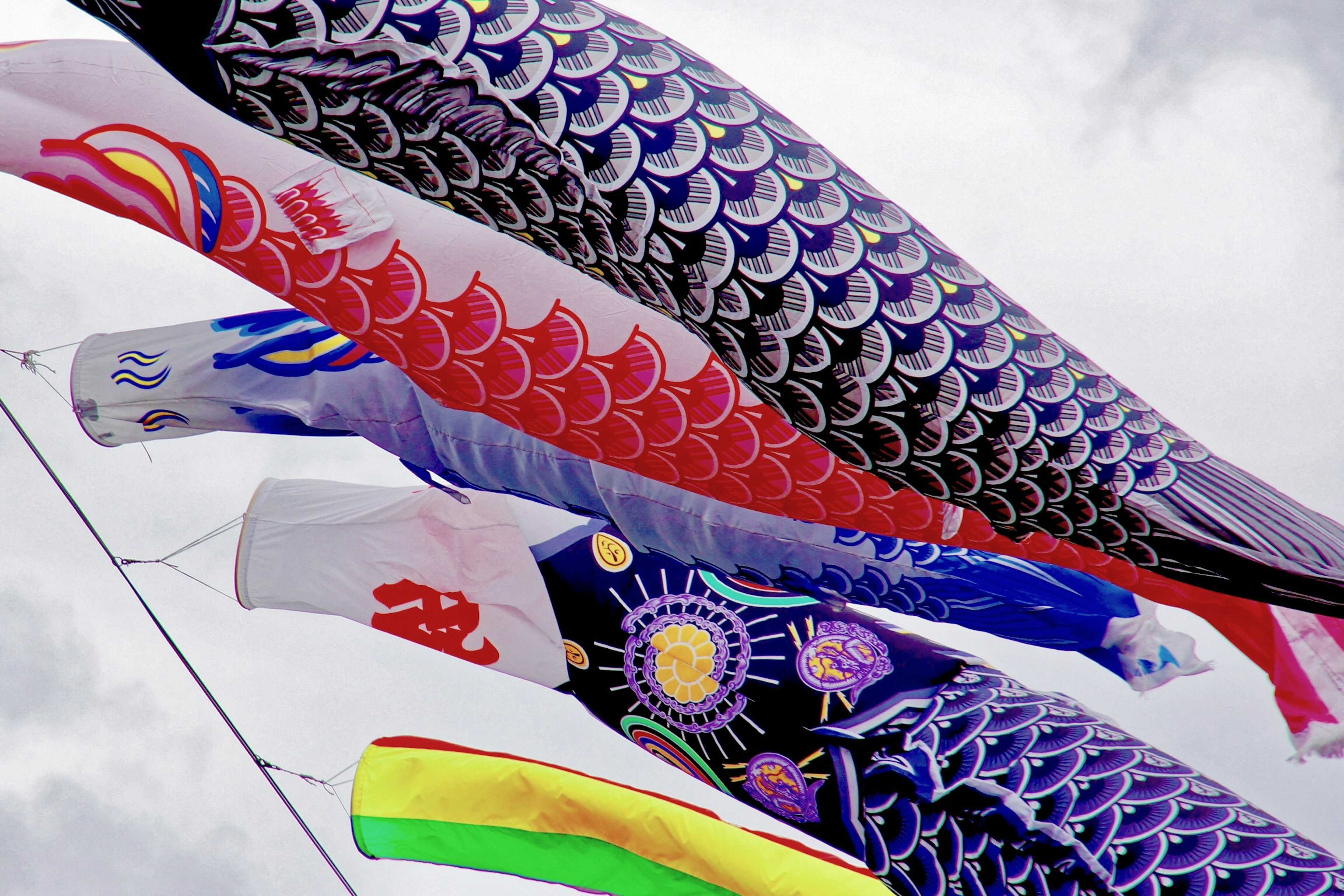 Colorful koi flags flying in the sky featuring detailed koi designs