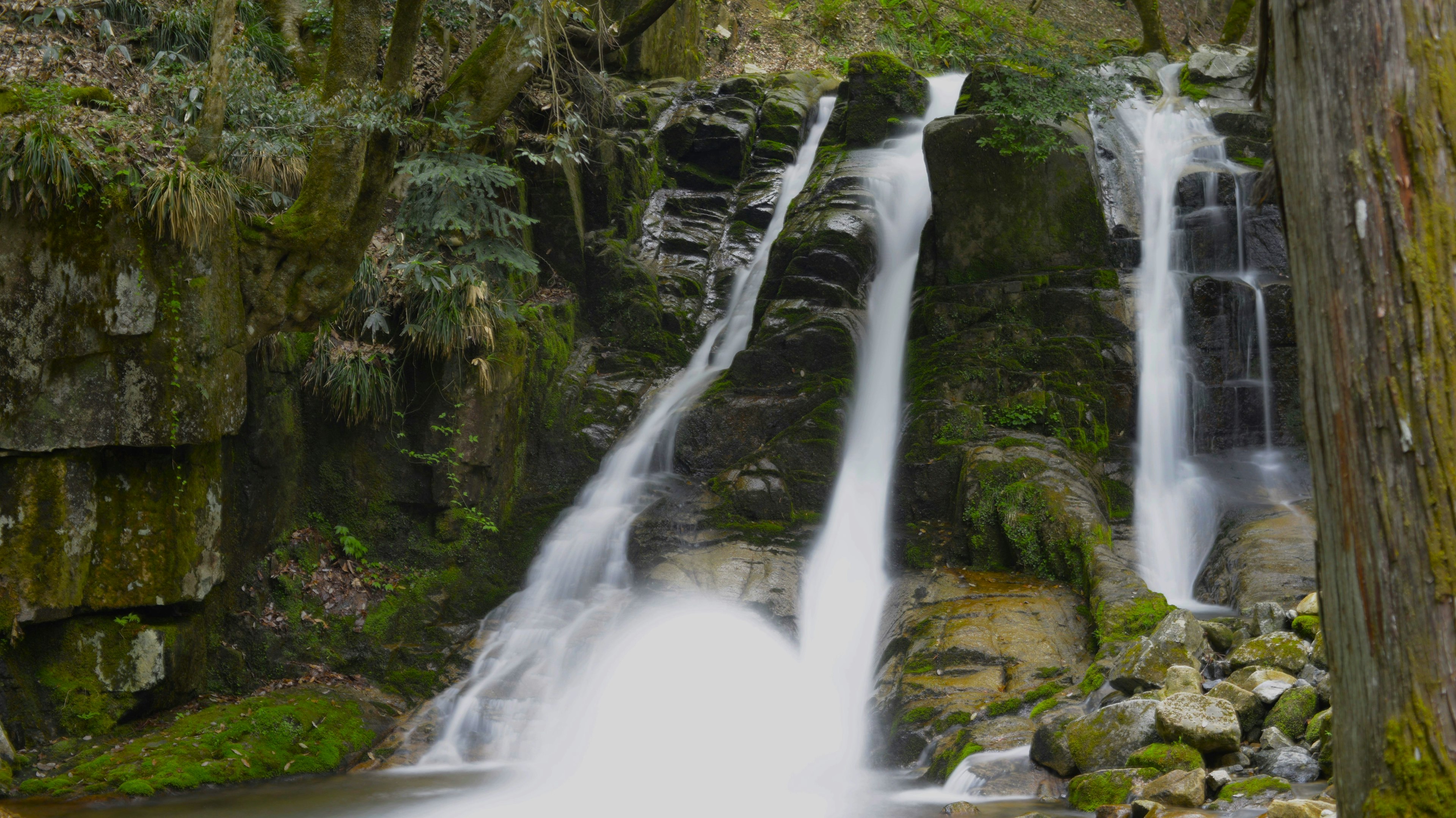 Schöner Wasserfall, der in einer ruhigen Landschaft umgeben von üppigem Grün fließt