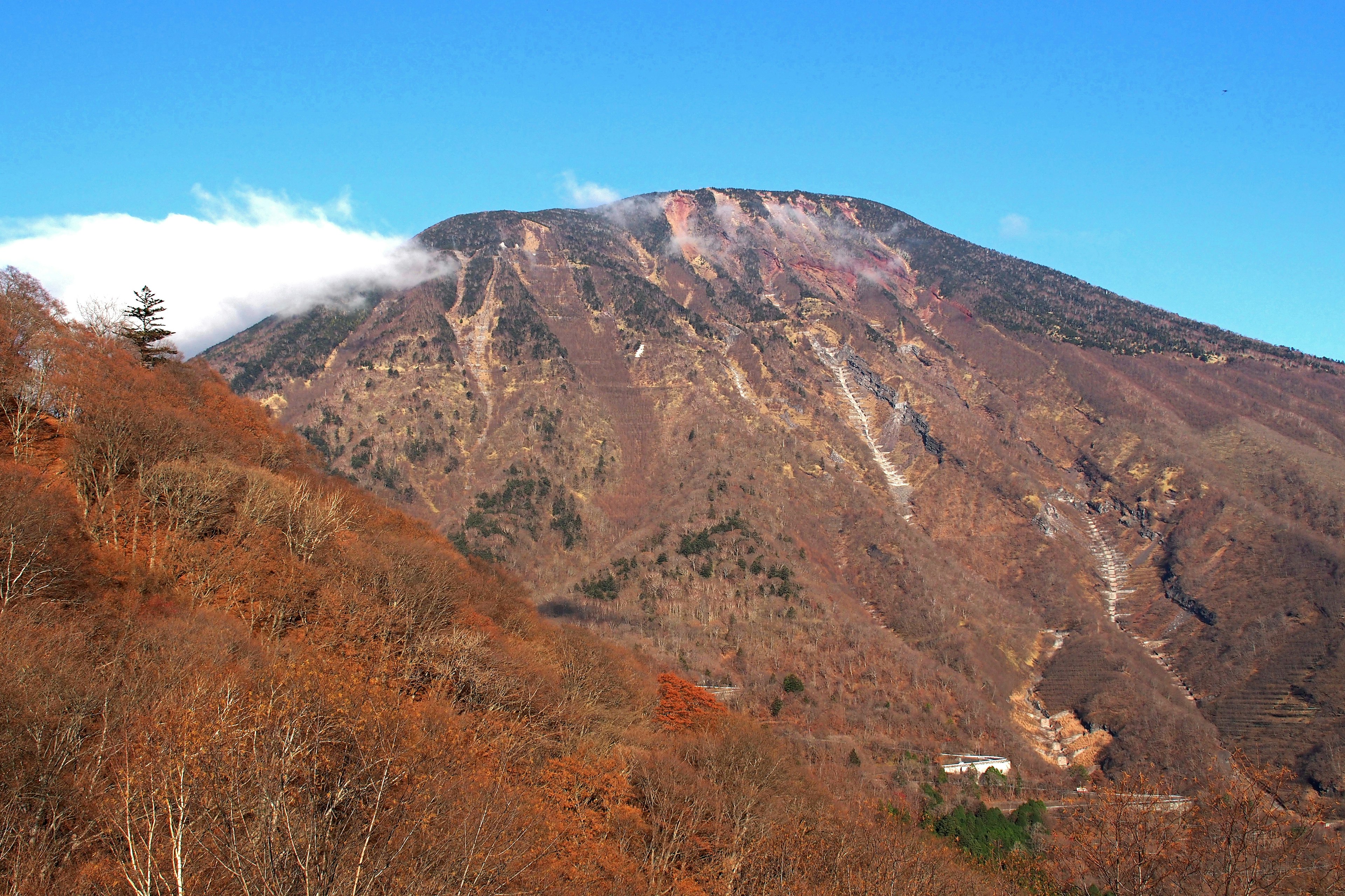 美しい山の風景と秋の色合いの木々