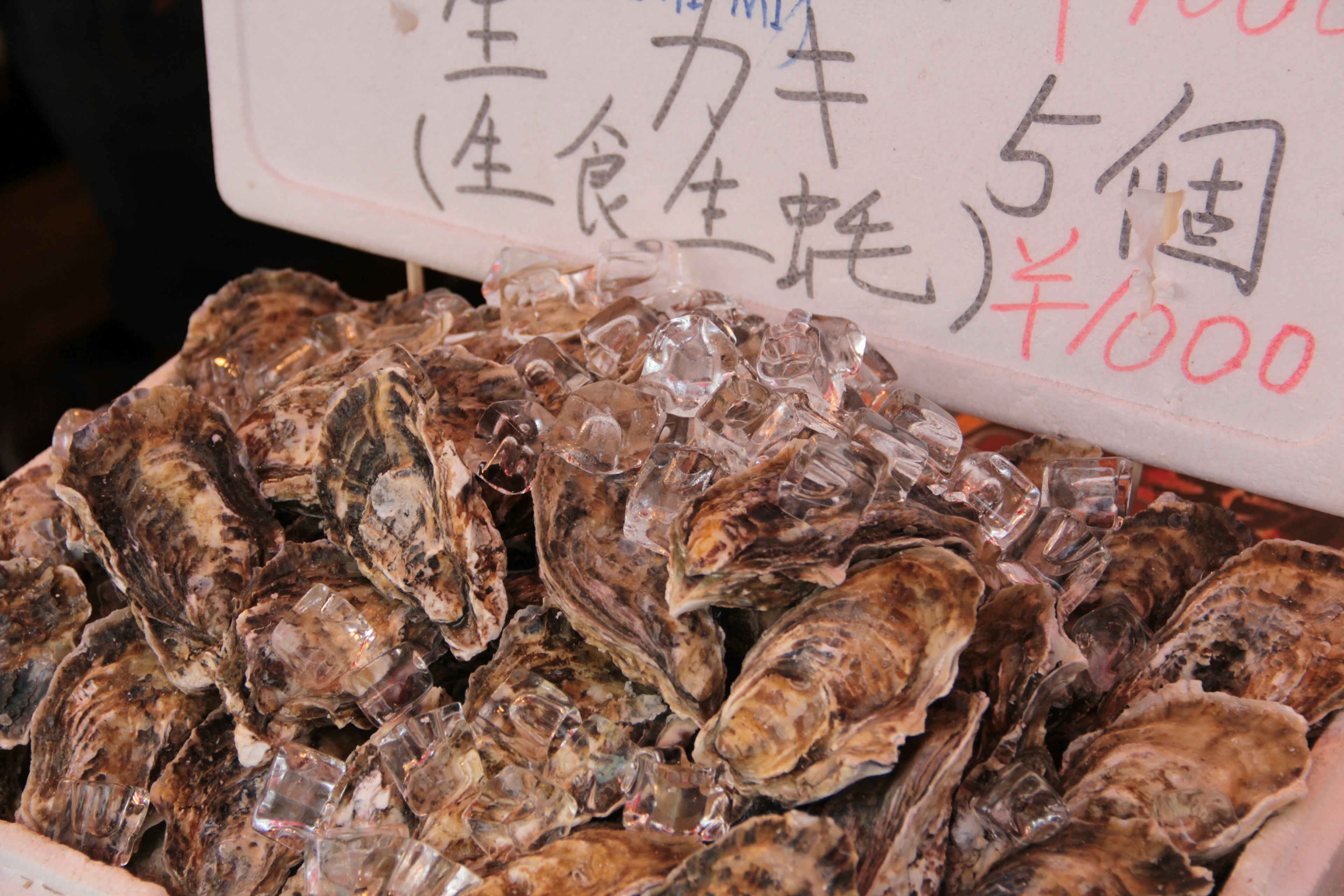 Fresh oysters displayed on ice at a market