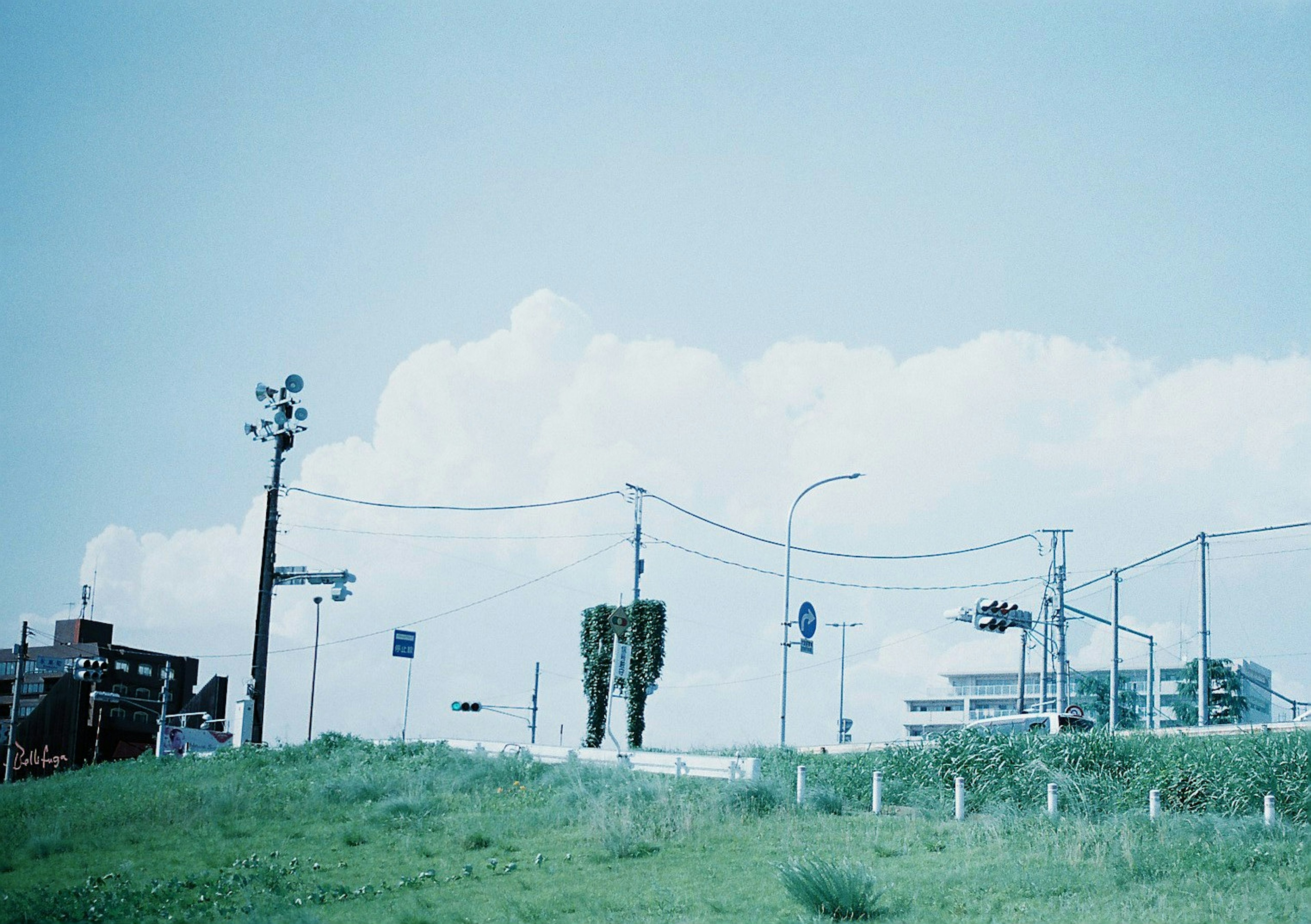 青空と白い雲の下に電柱と道路が見える風景