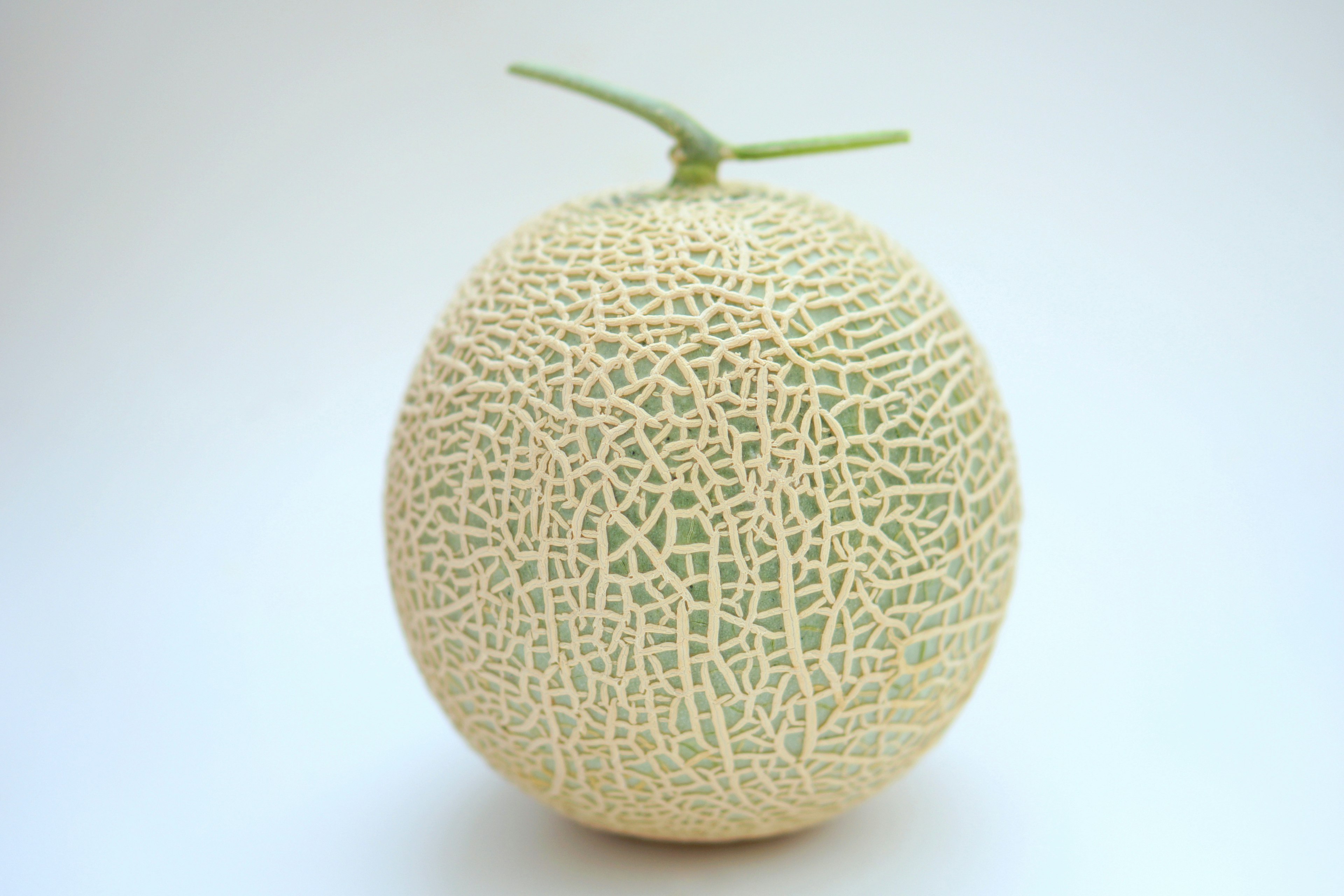 A beautiful fruit with prominent cantaloupe skin texture