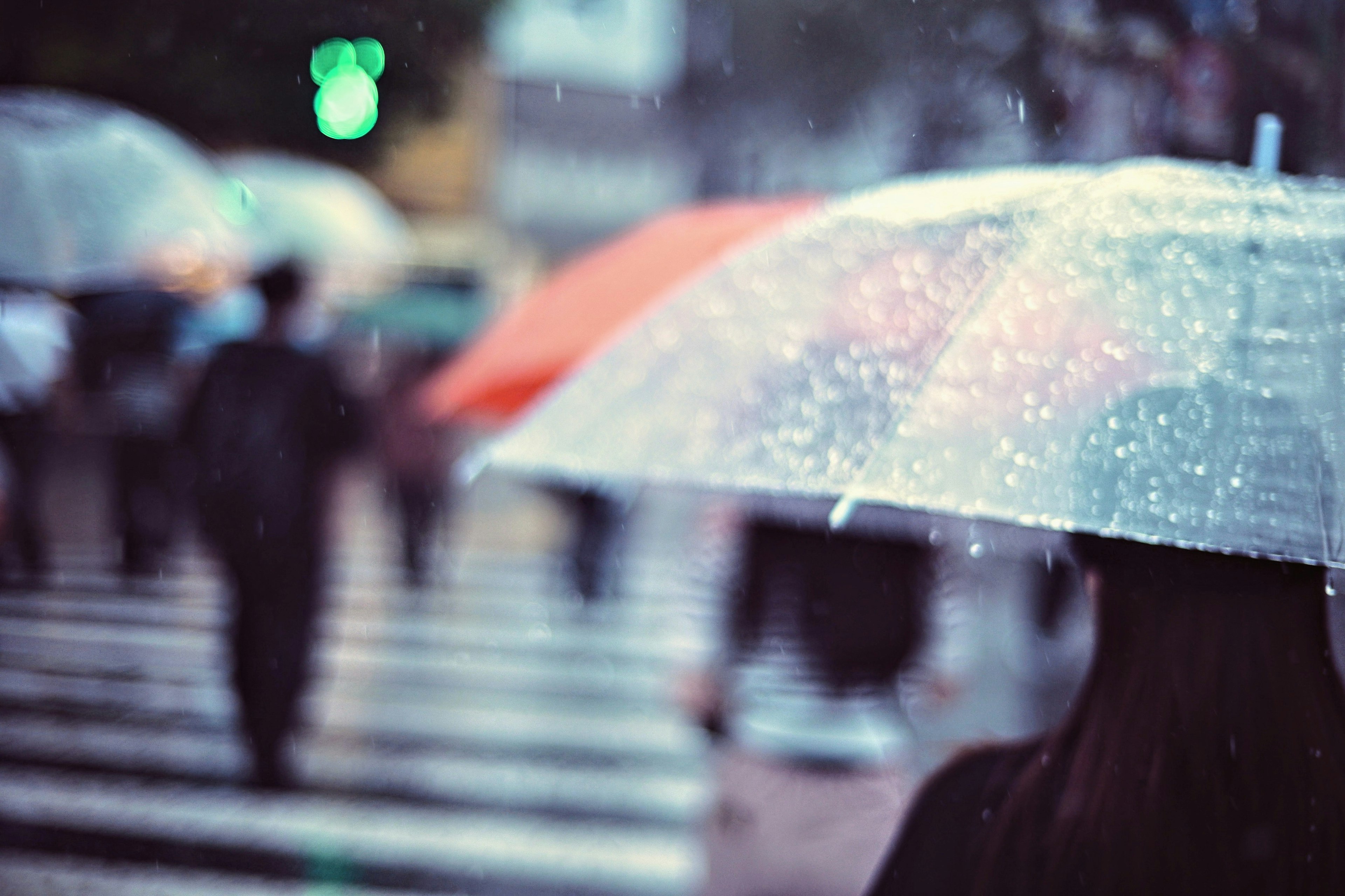 人們在雨中拿著傘走過人行橫道